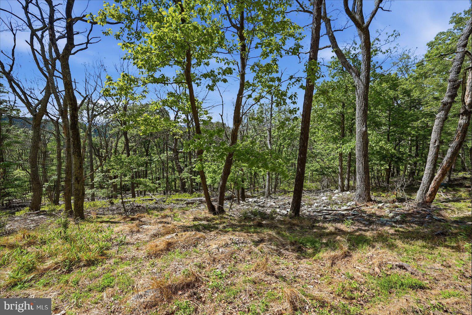 TIMBER MOUNTAIN - Residential