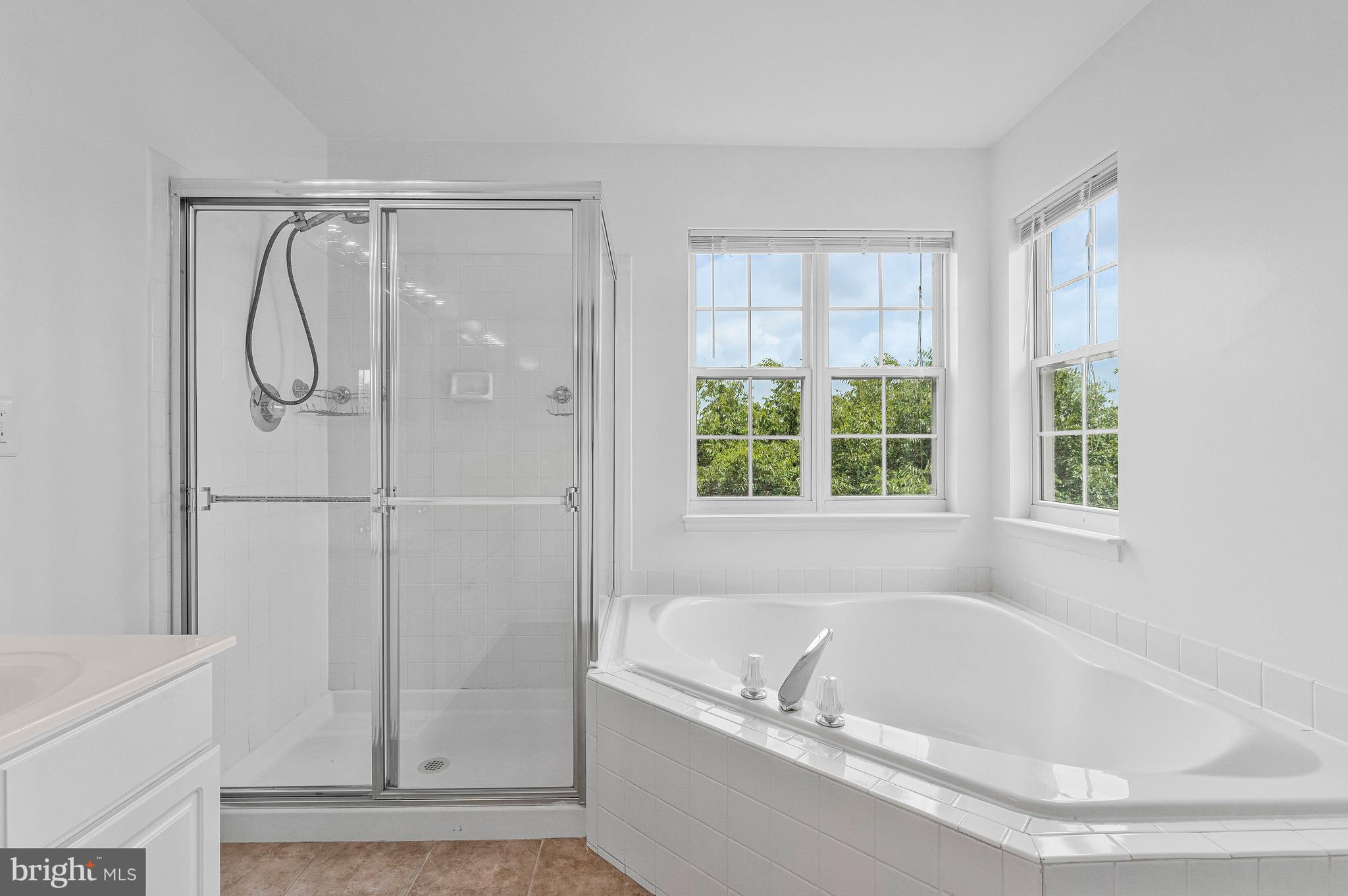 ASHBURN VILLAGE - Residential