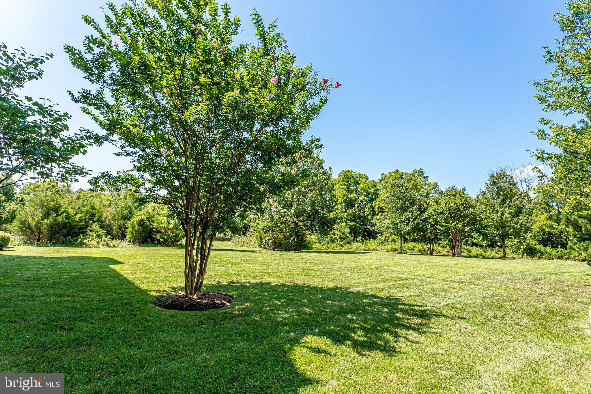 ASHBURN VILLAGE - Residential