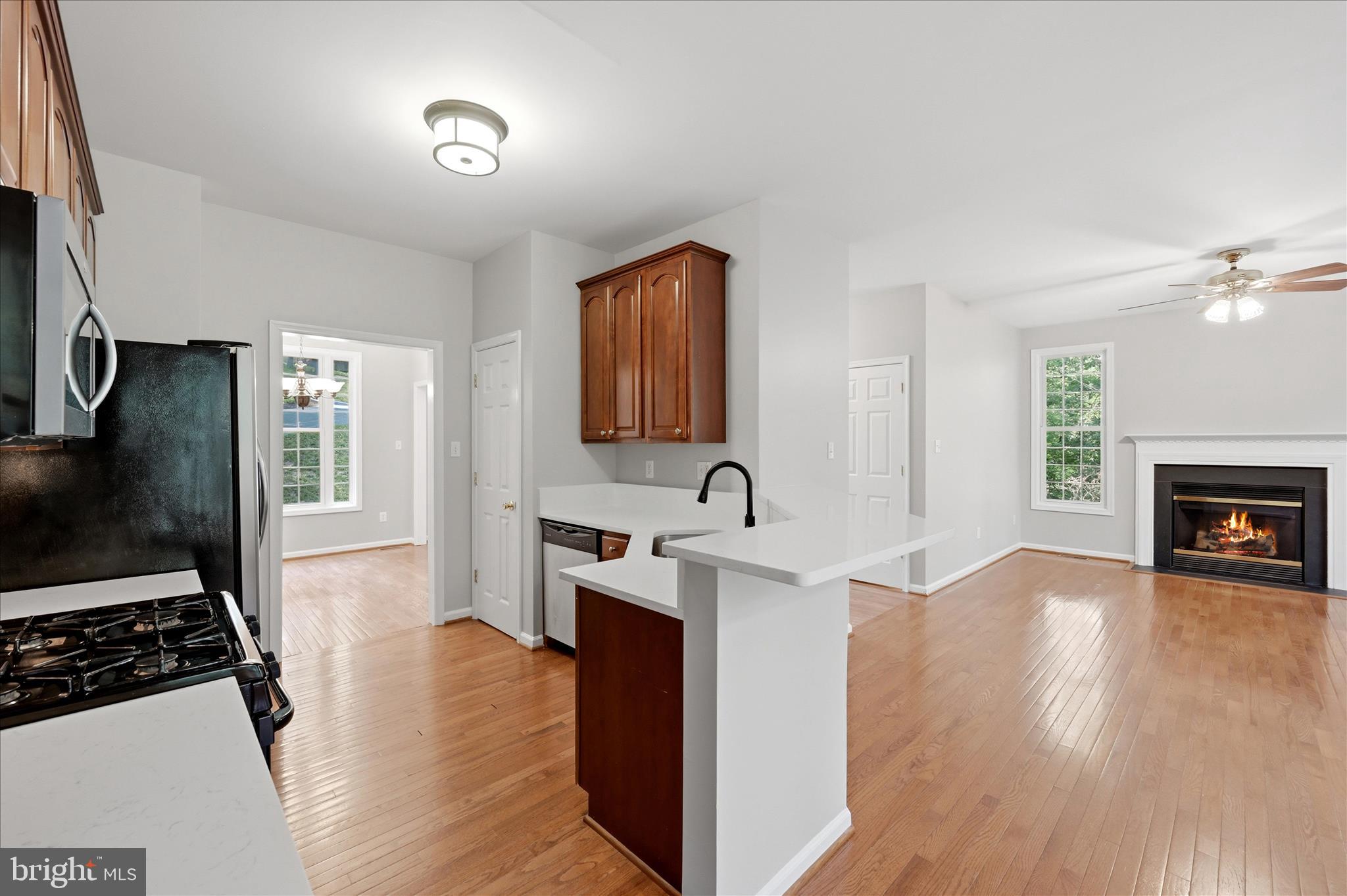 LAKE HOLIDAY ESTATES - Residential