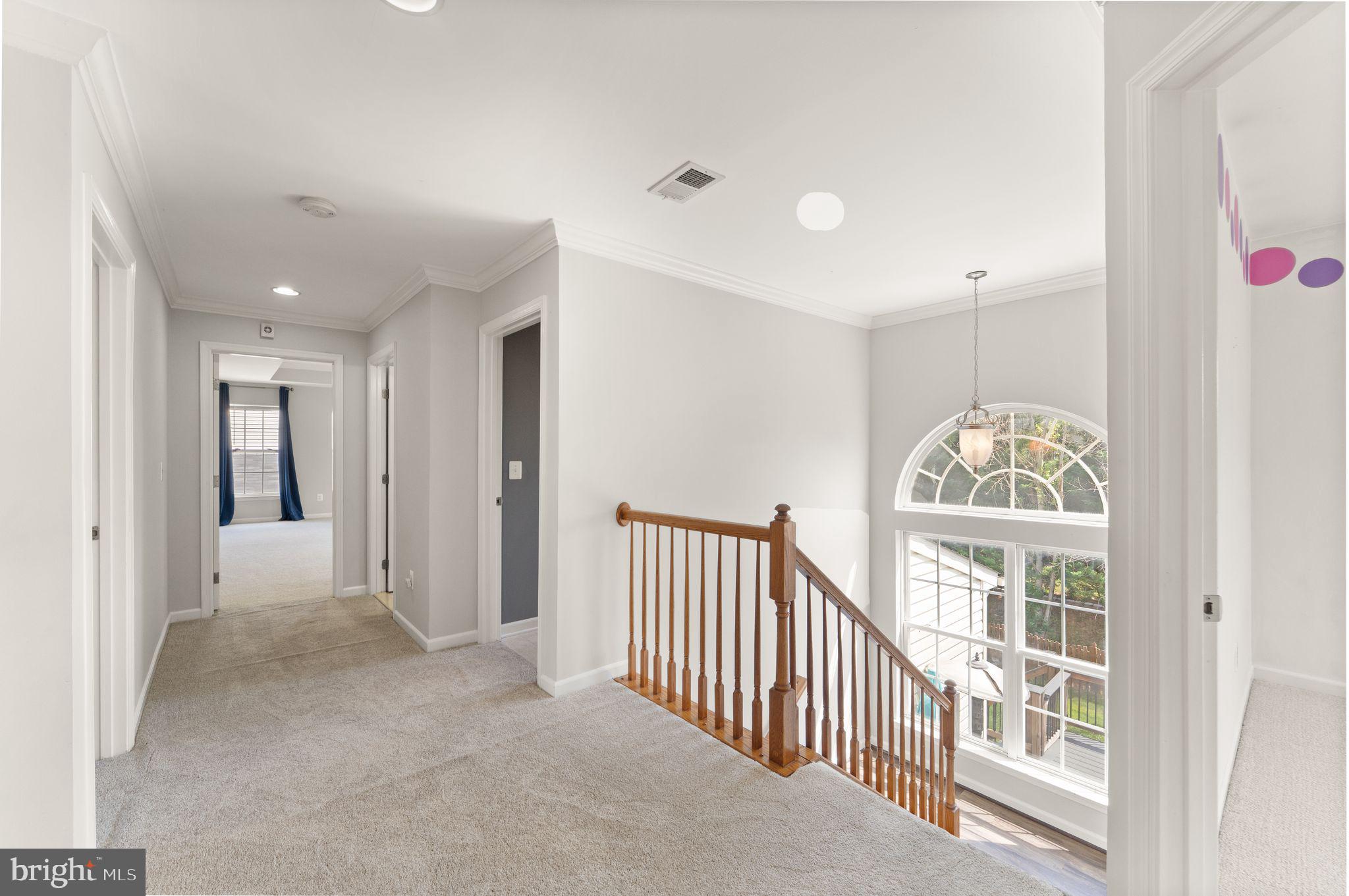 NEW TOWN MEADOWS - Residential