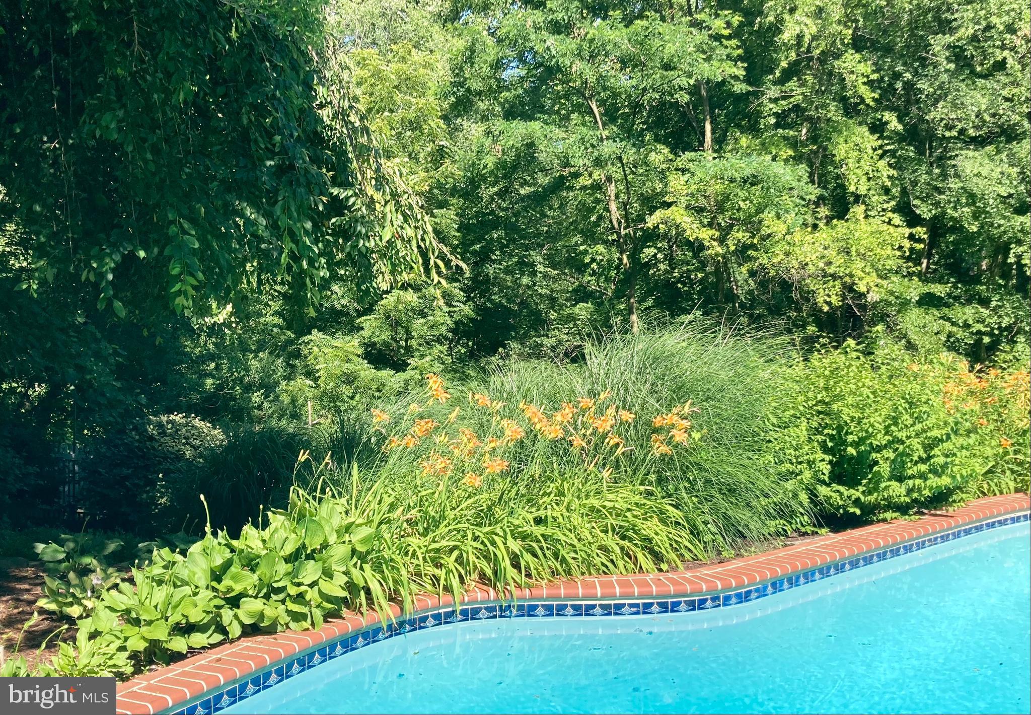 SUGAR MILL MEADOW - Residential