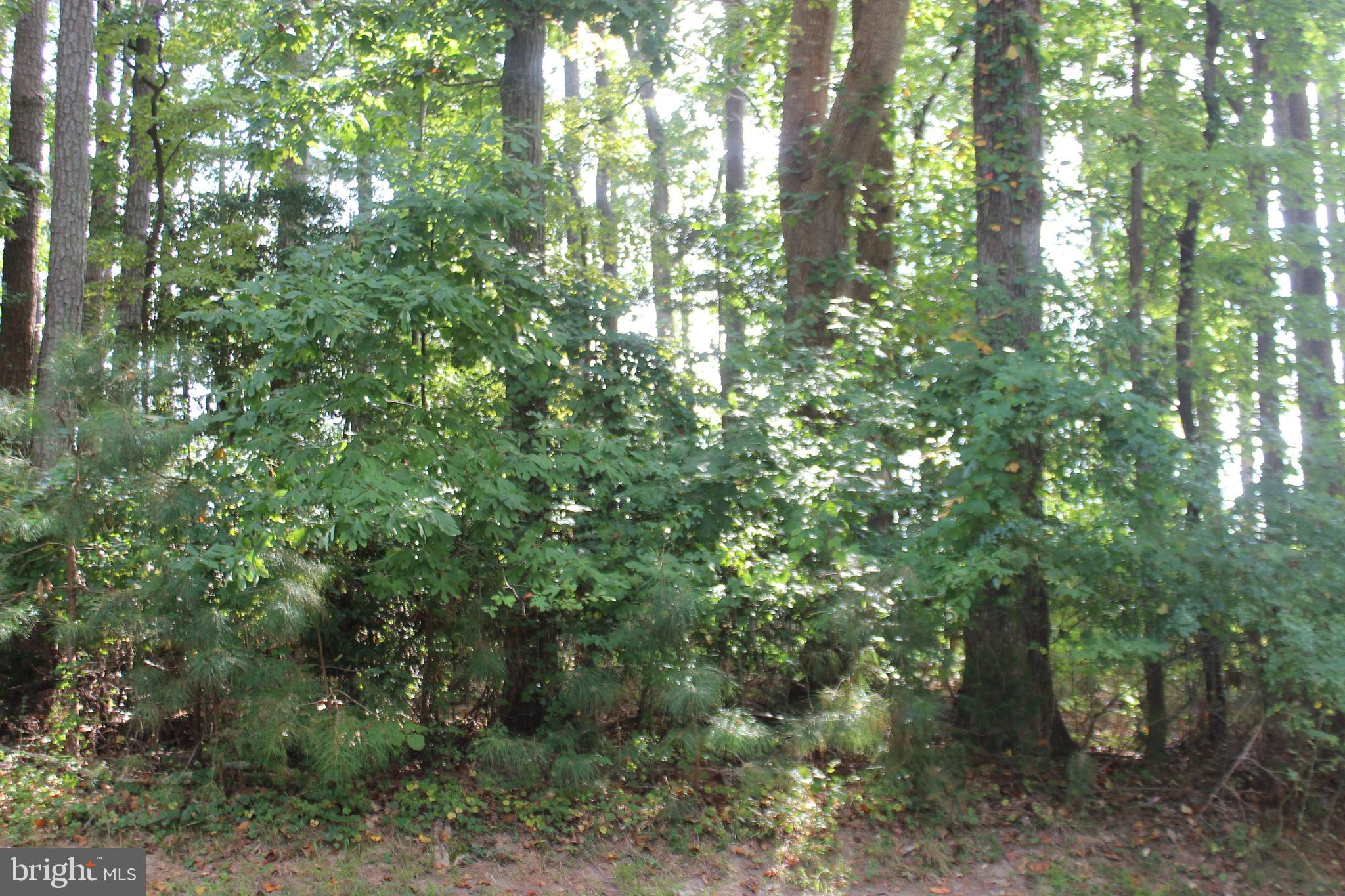 2/146 Wooded golf course overlooking the 9th Tee and ponds in the distance. Pick your builder, no builder tie-in and no time frame to build, start enjoying life on the Eastern Shore of VA. Seller has done the work, 4BR Cert. letter on file. Come and enjoy all the amenities and the lifestyle on the Eastern Shore of VA. Captains Cove is the Eastern Shore of Virginias fastest growing Golf & Waterfront community. Close to Chincoteague Island, Wallops Island and Ocean City MD. HOA amenities: 9 Hole Pristine Golf Course, indoor/outdoor pools (2), fitness center, basketball &  pickle-ball courts, boat ramp, docks, playground, walking & biking trails, dog park, security and so much more. Call for information.