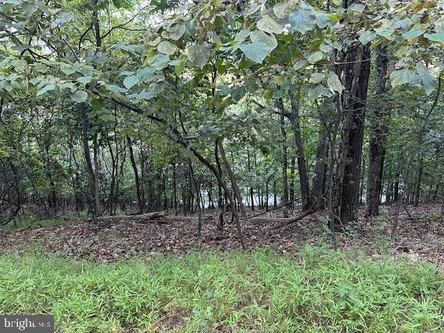 WATERFRONT MEMBERSHIP LOT AVAILABLE NEAR BEACH 2! This lot is not currently a buildable lot but come build your own dock (permit application required) and make it your own private boat access! Lake Holiday offers  a pristine 250 acre swimming/boating/fishing lake with amenities galore including 24/7 guard gate, 3 sandy beaches, fishing pier, tennis/volleyball/pickleball/basketball courts, fitness room, seasonal “Snack Shack”, dog parks, playgrounds, and walking trails! You won’t believe this water paradise that’s only 20 minutes from historic downtown Winchester.