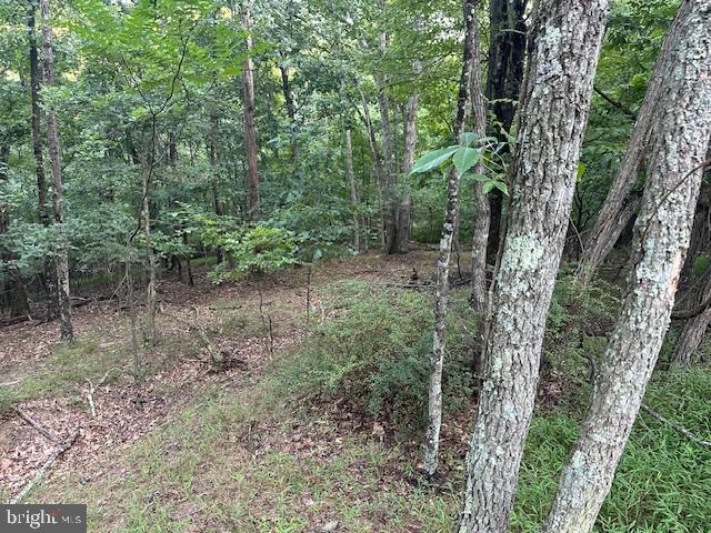 LAKE HOLIDAY ESTATES - Land