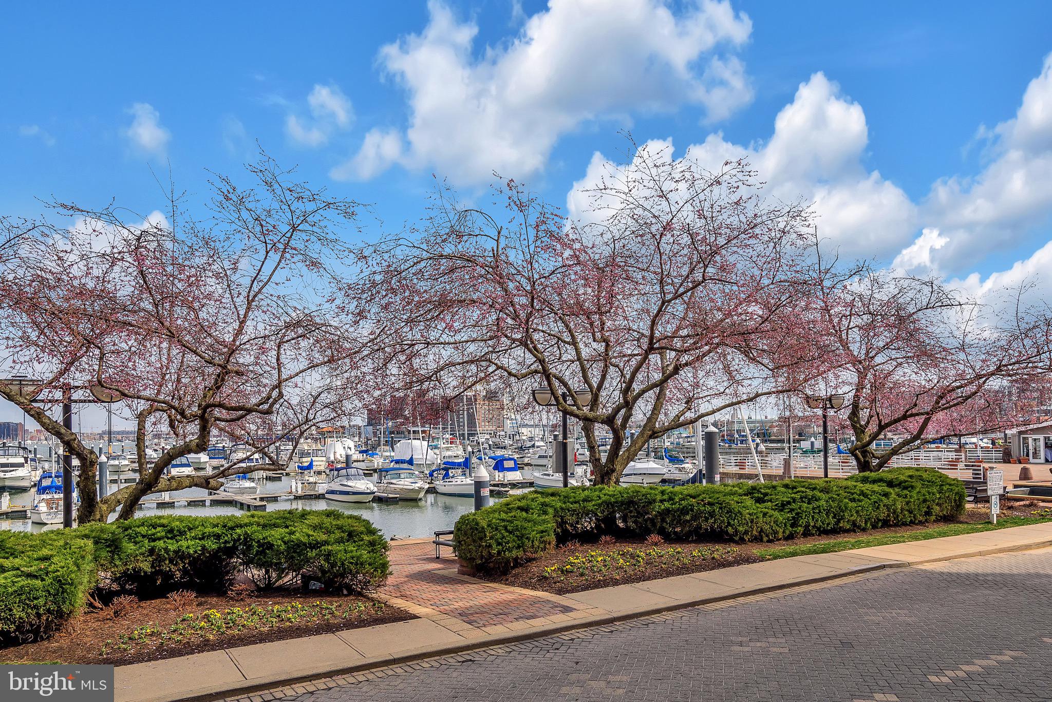 PIER HOMES AT HARBORVIEW - Residential Lease
