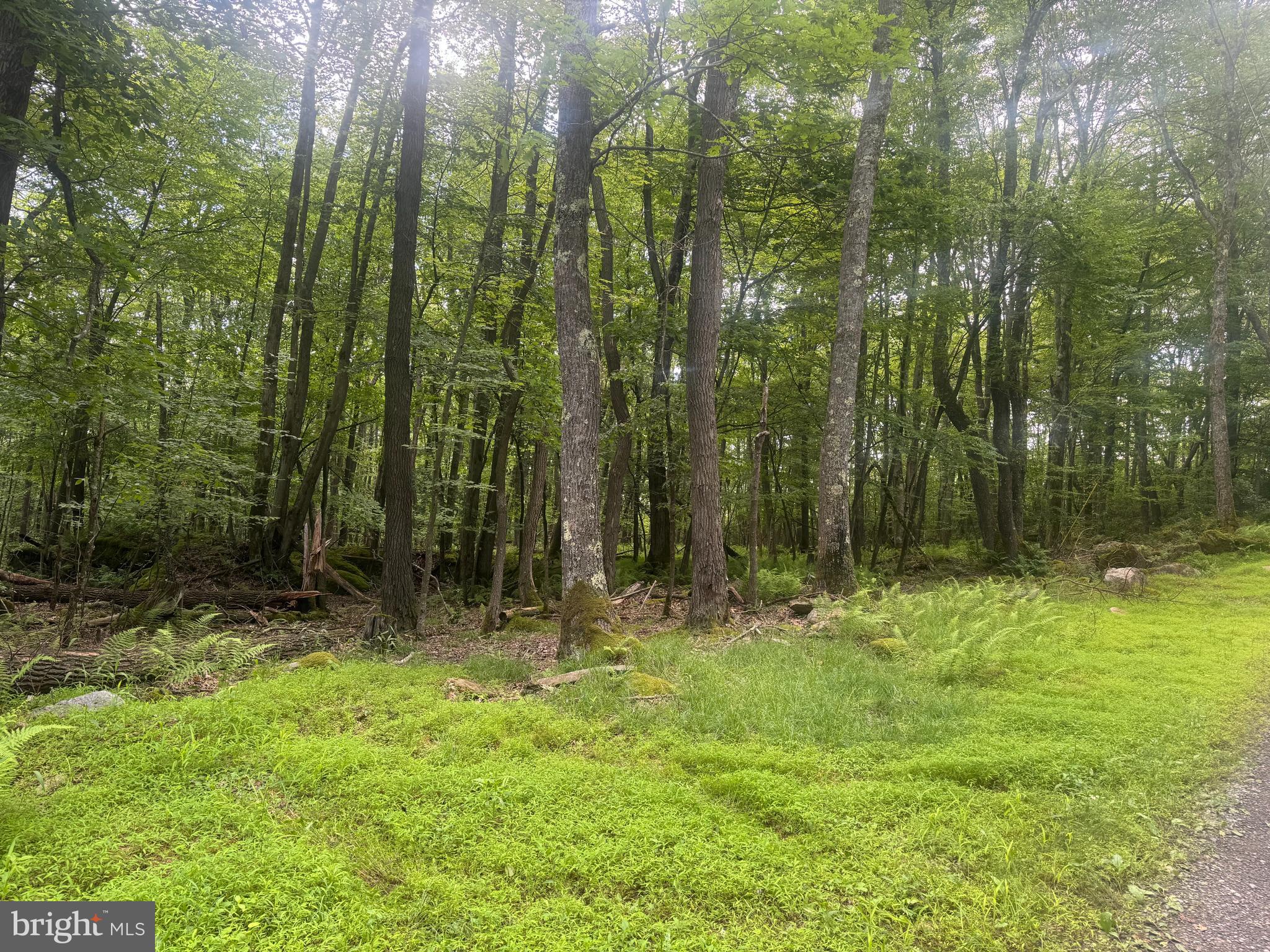 YOUGH MT. RESORT - Land