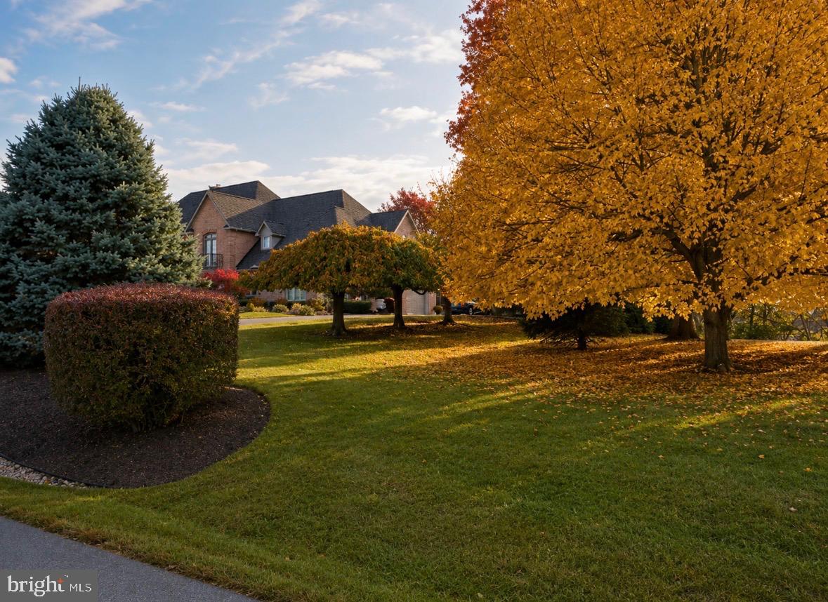 REDAMAR ESTATES - Residential