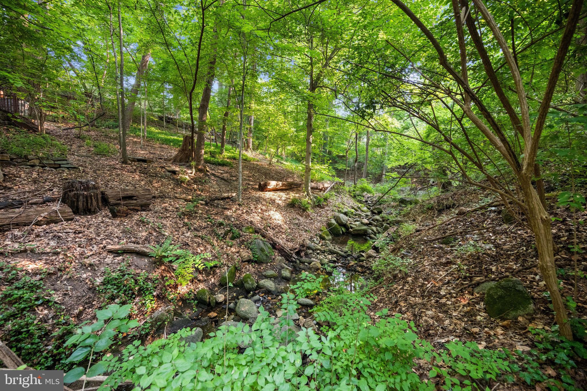 FOREST HILLS - Residential