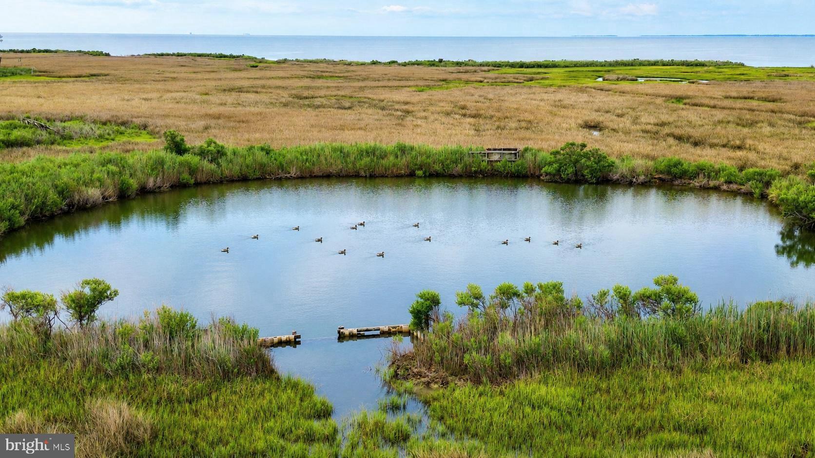HOOPERS ISLAND - Land