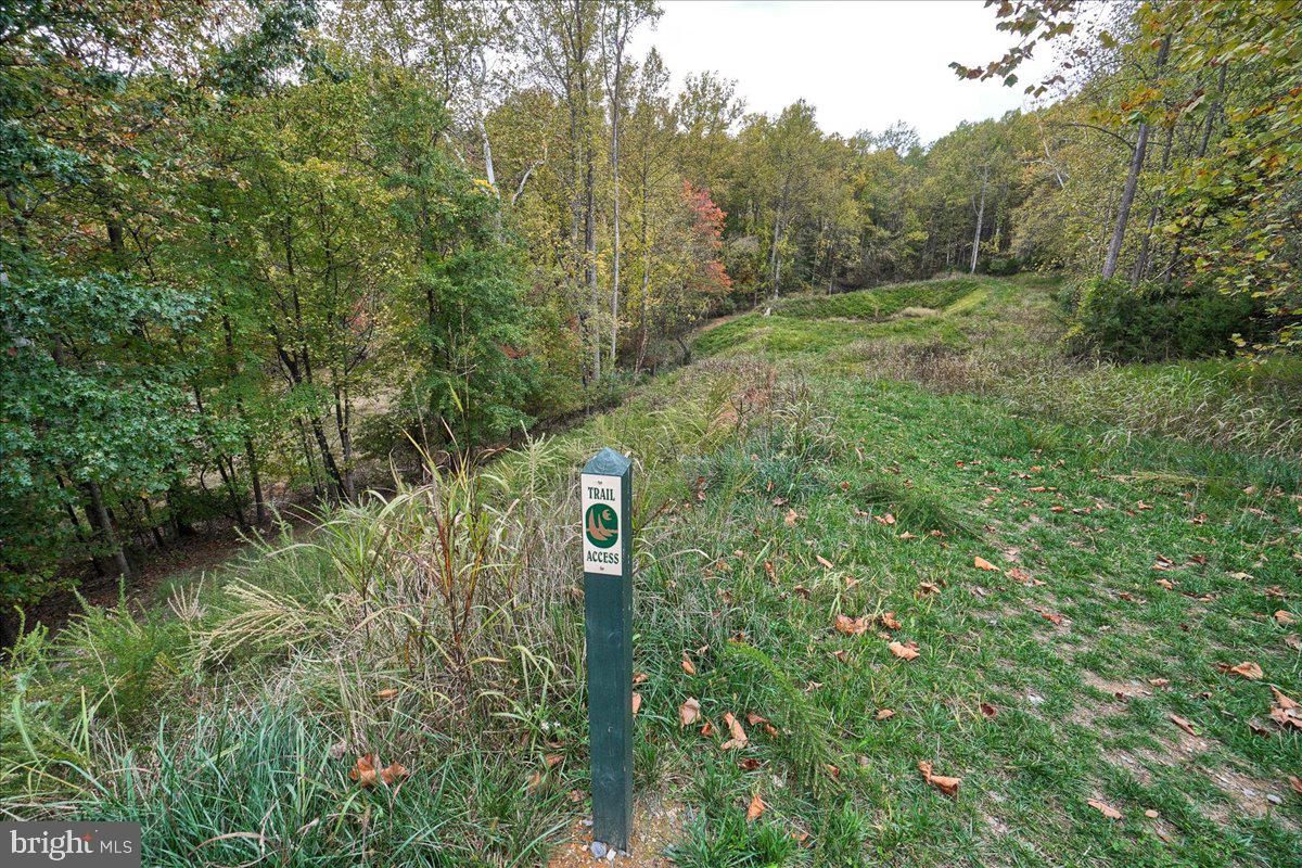 LAKE LINGANORE EAGLEHEAD - Residential