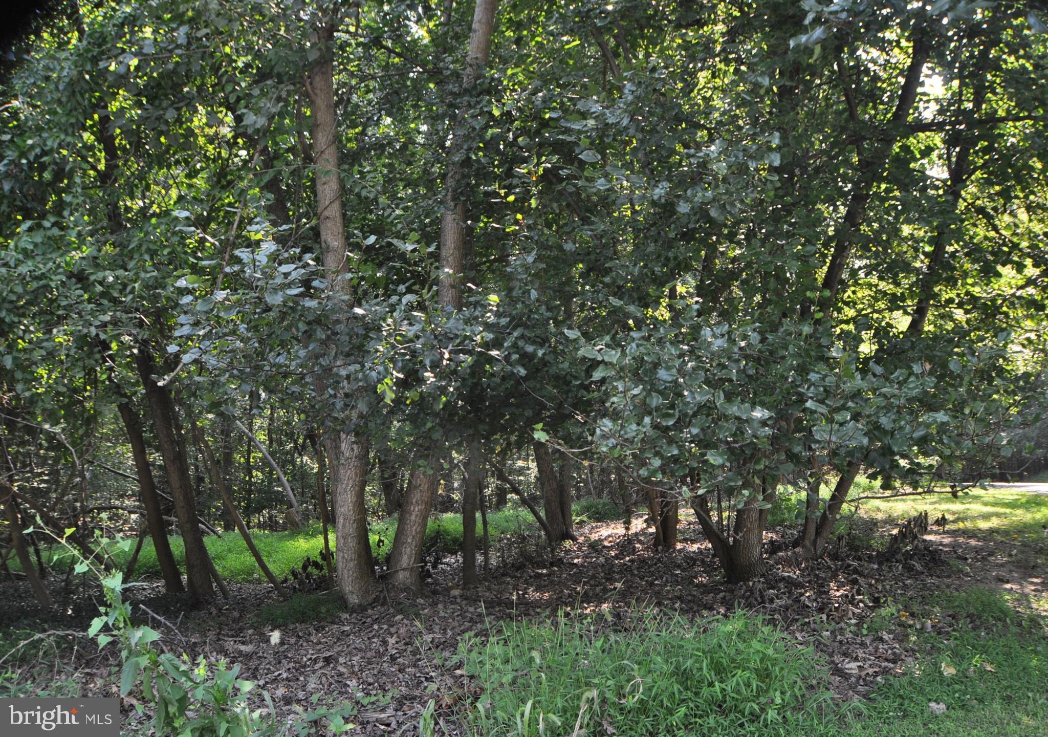 CLOVERLAND FARMS - Land
