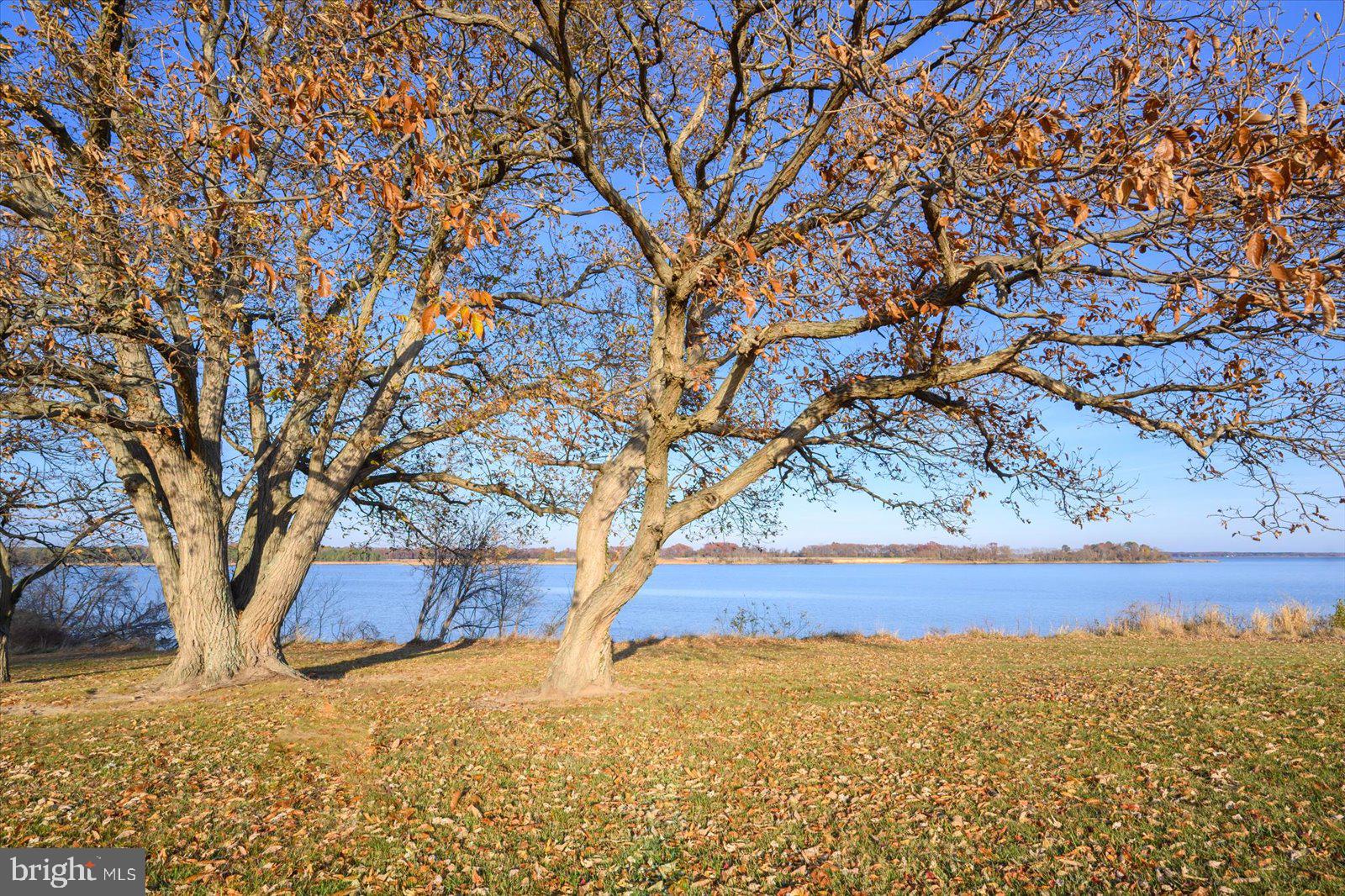 EASTERN NECK - Farm