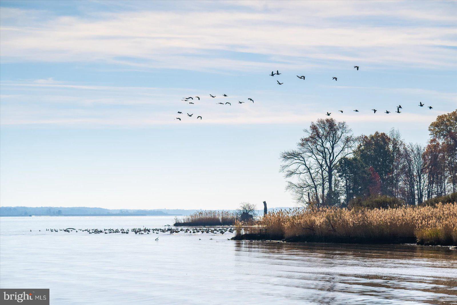 EASTERN NECK - Farm