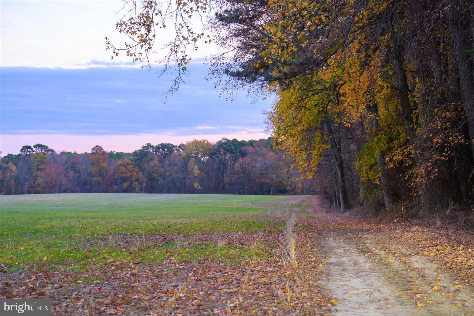 EASTERN NECK - Farm
