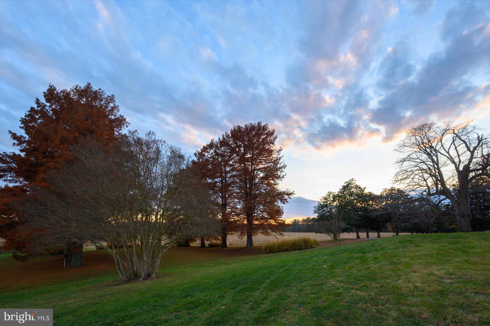 EASTERN NECK - Farm