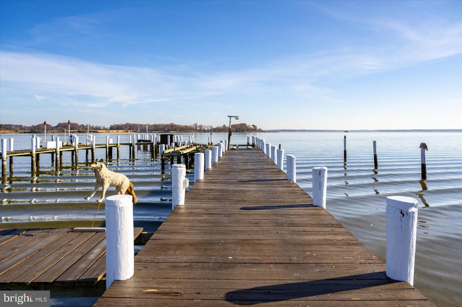 EASTERN NECK - Farm