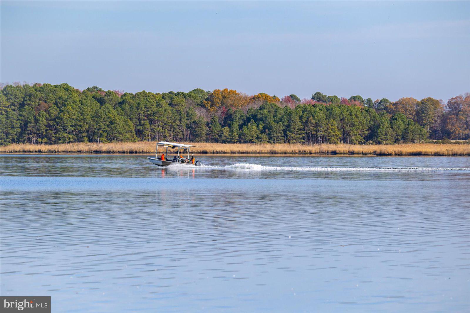 EASTERN NECK - Farm
