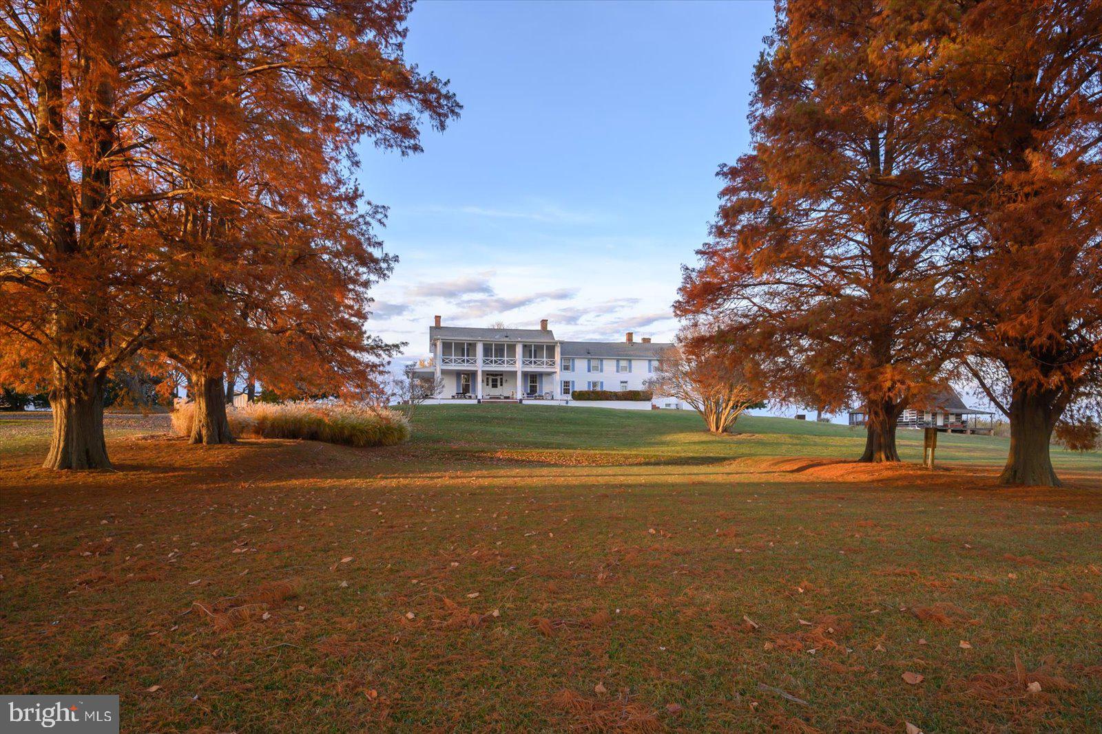 EASTERN NECK - Farm