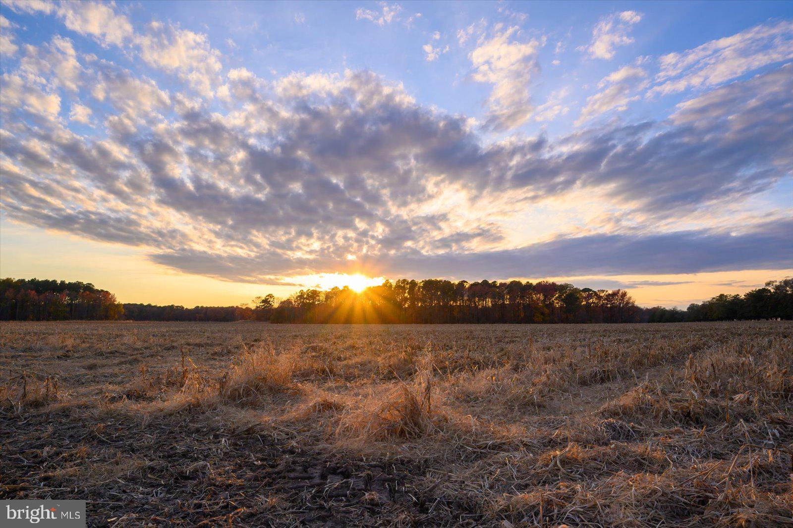 EASTERN NECK - Farm