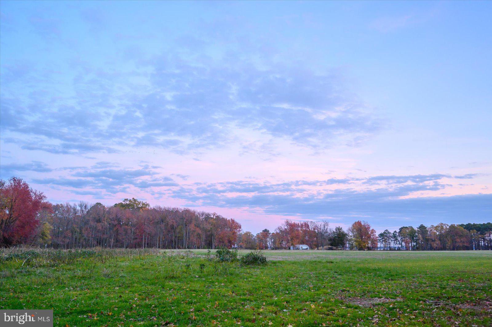 EASTERN NECK - Farm