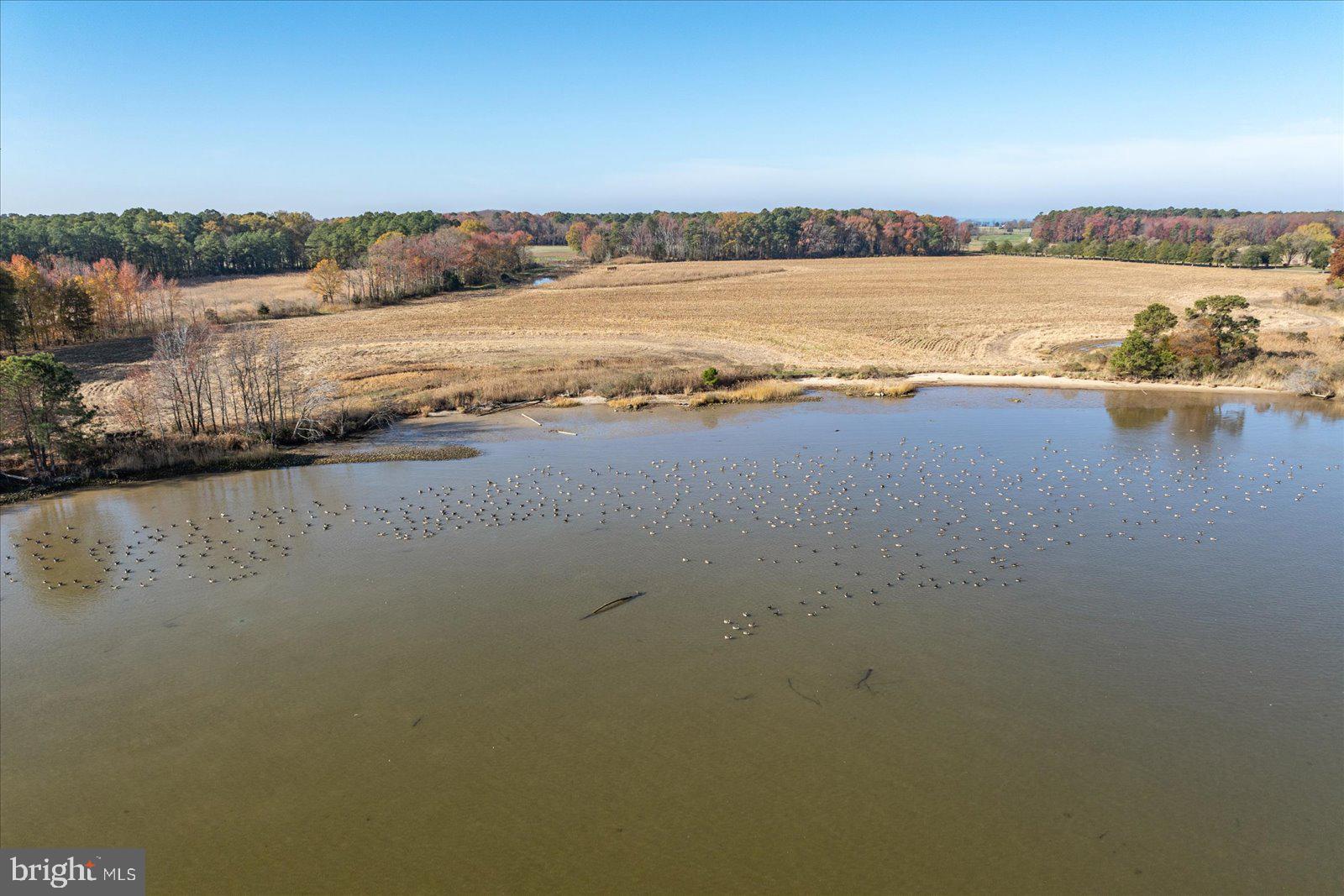 EASTERN NECK - Farm