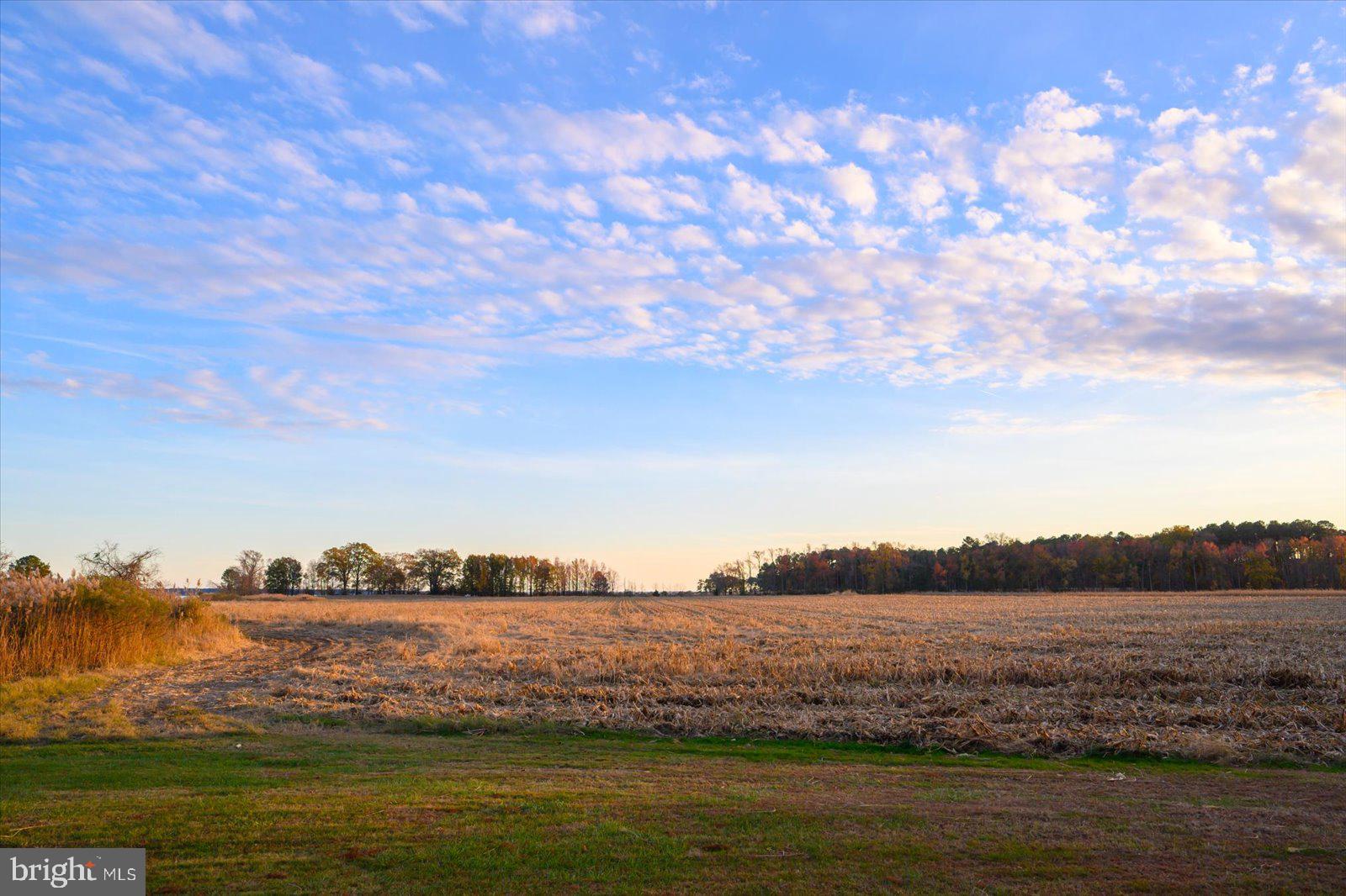 EASTERN NECK - Farm