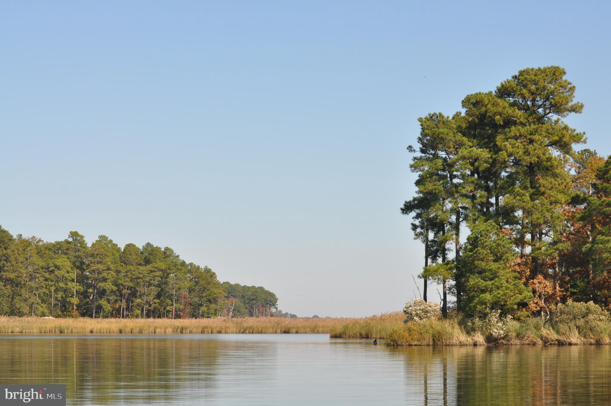 EASTERN NECK - Farm