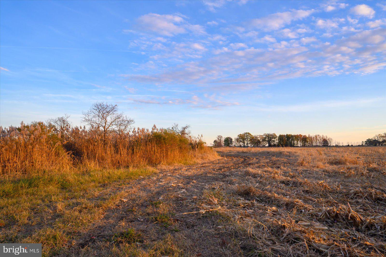 EASTERN NECK - Farm