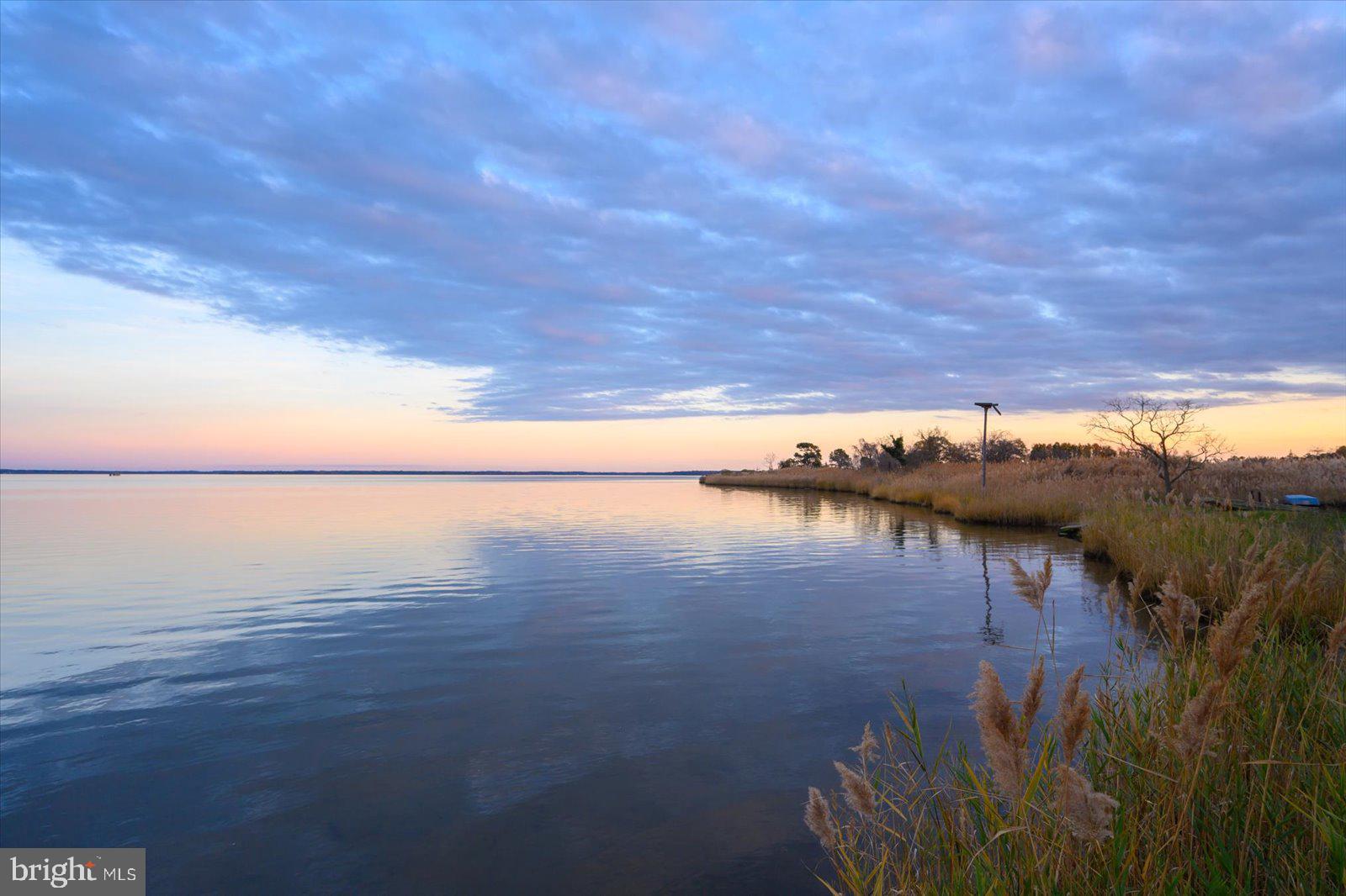 EASTERN NECK - Farm