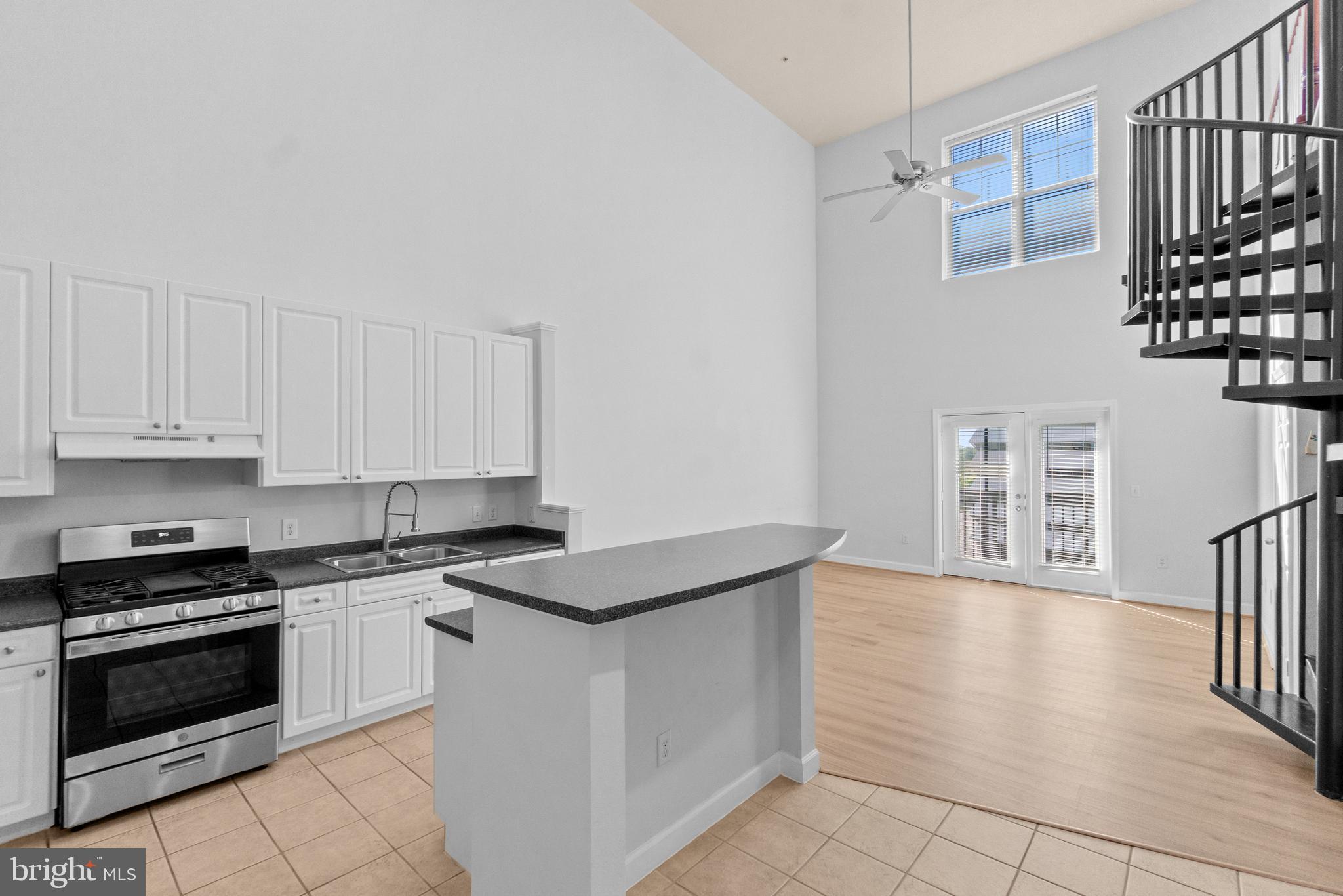FITZ AT ROCKVILLE TOWN C - Residential