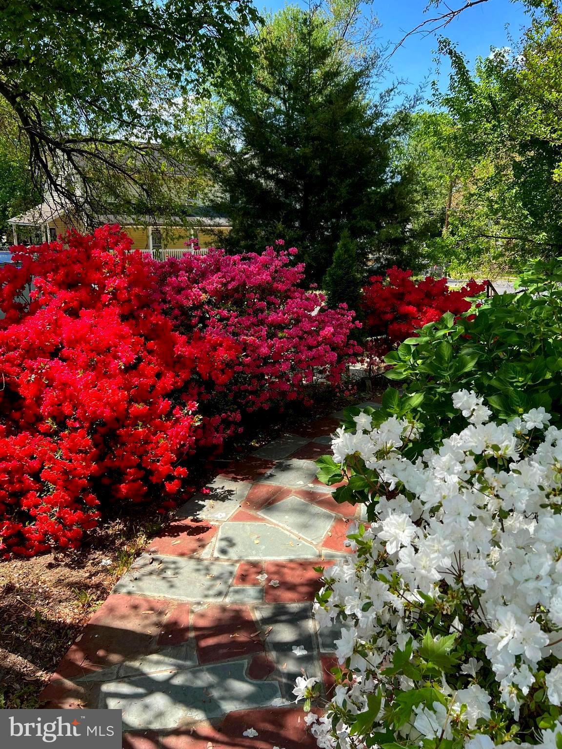 CONNECTICUT AVENUE ESTATES - Residential