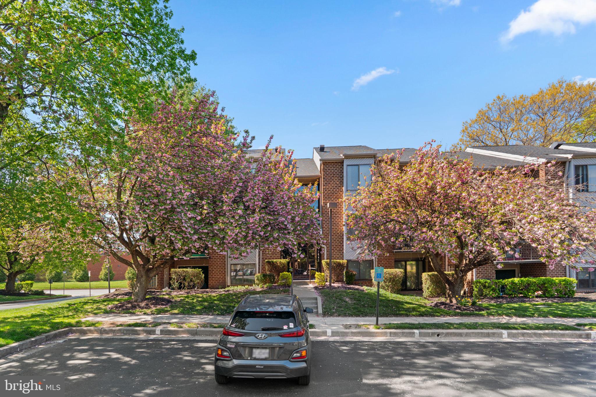 MAYS CHAPEL - Residential Lease