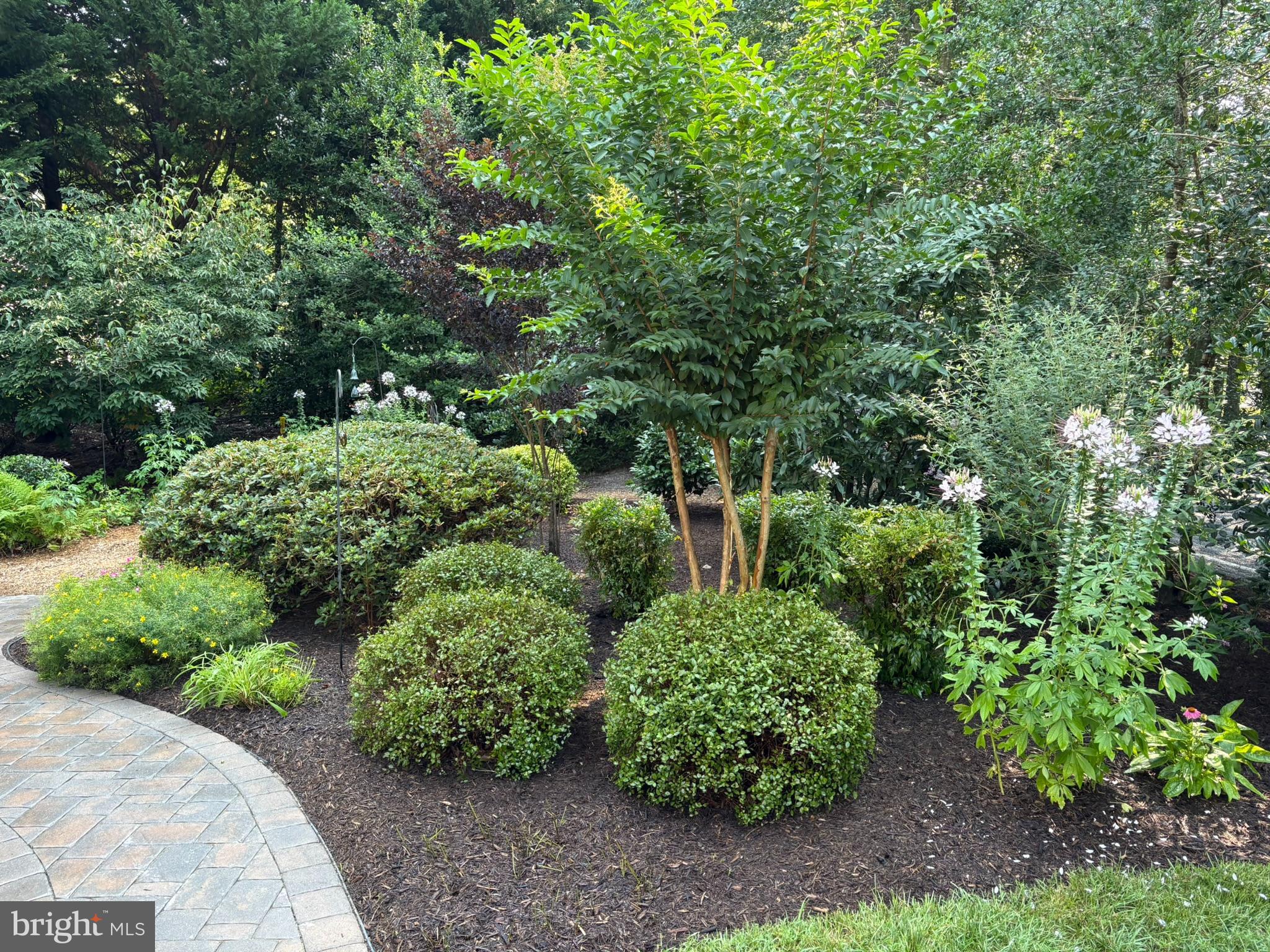 RIVERWOOD FARMS - Residential