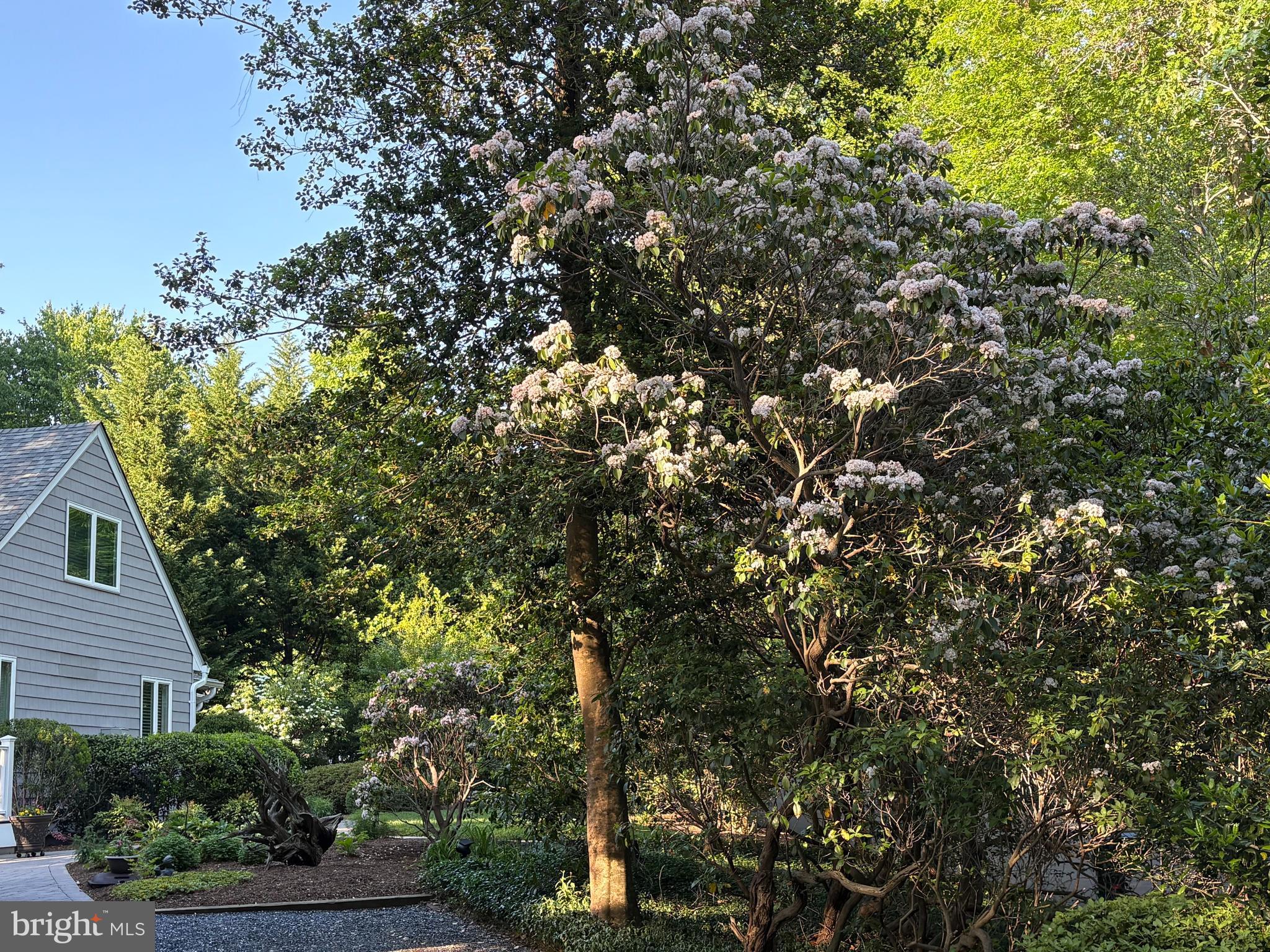RIVERWOOD FARMS - Residential