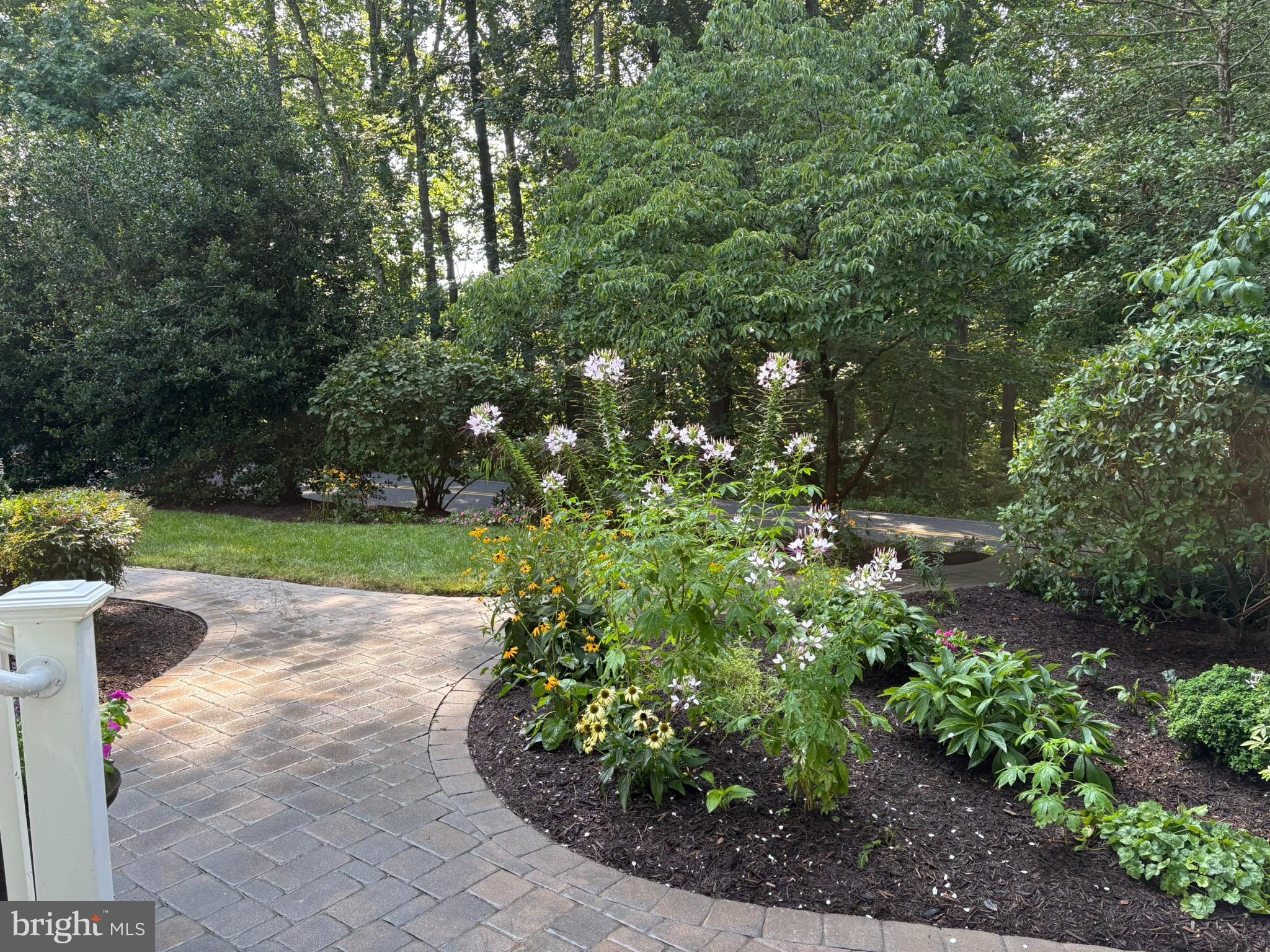 RIVERWOOD FARMS - Residential