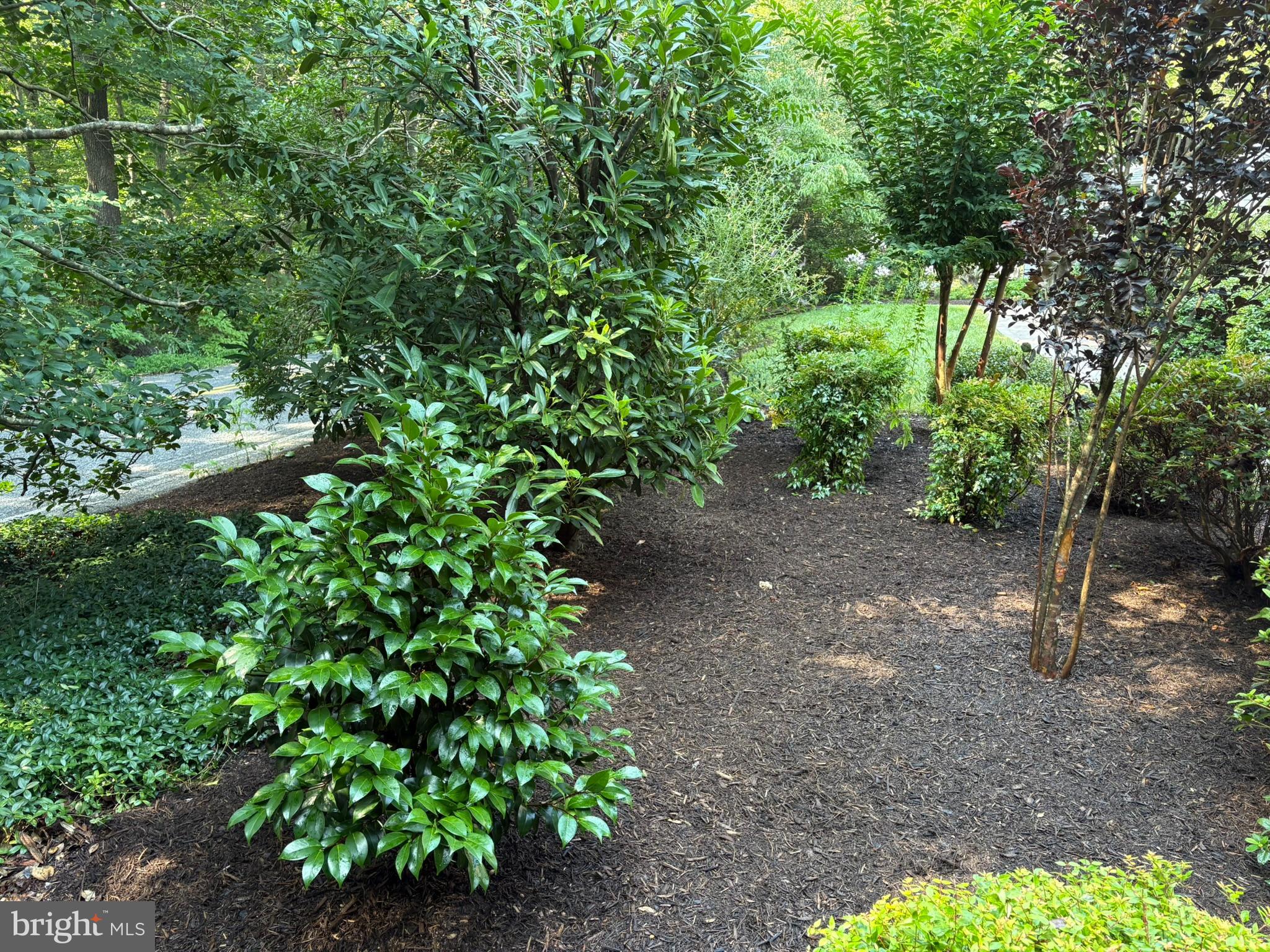 RIVERWOOD FARMS - Residential