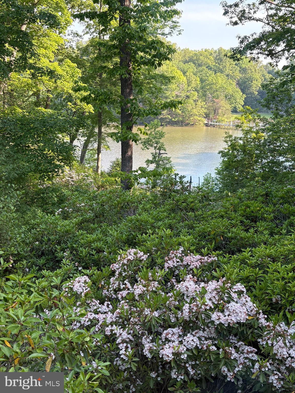 RIVERWOOD FARMS - Residential