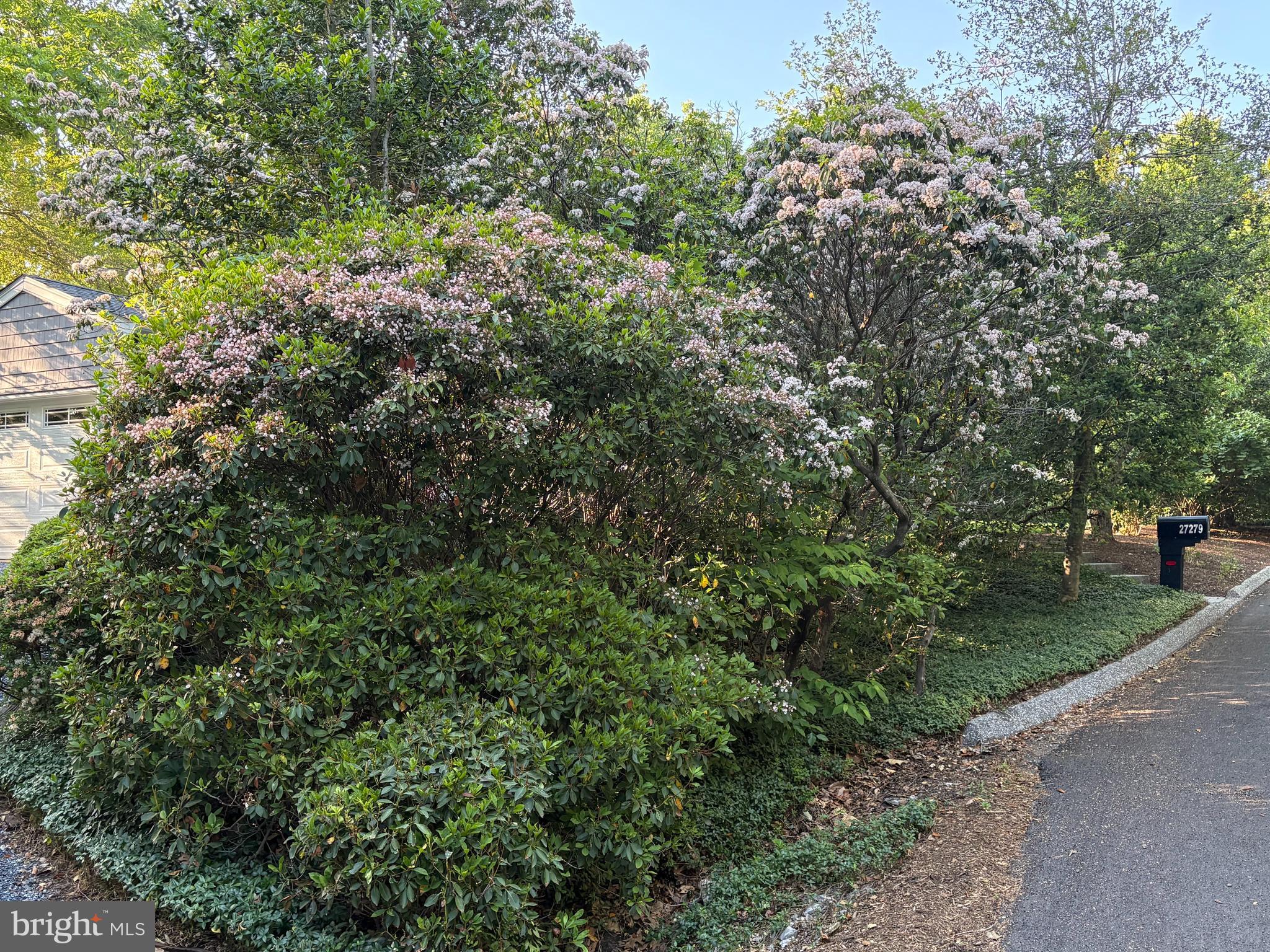 RIVERWOOD FARMS - Residential