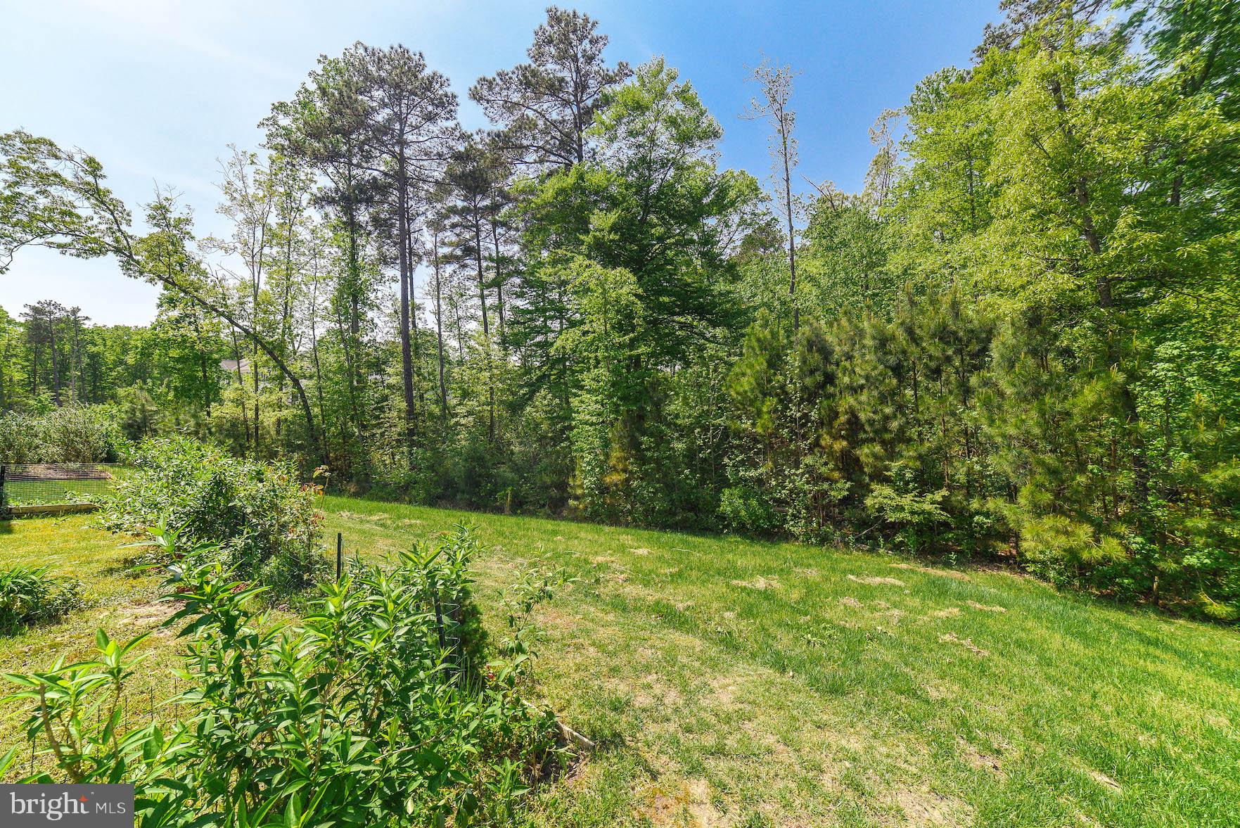 MAGNOLIA PARK AT WILDEWOOD - Residential