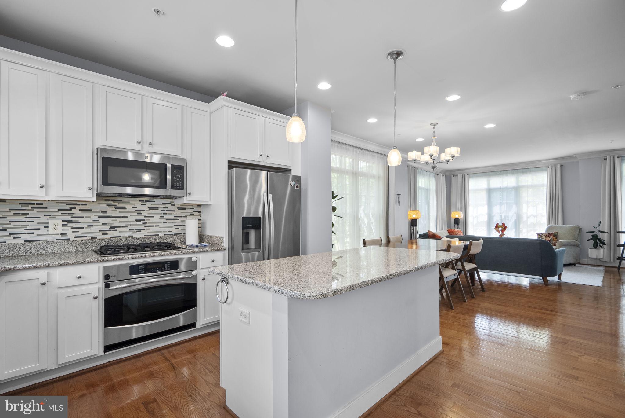 ARTS DISTRICT HYATTSVILLE - Residential