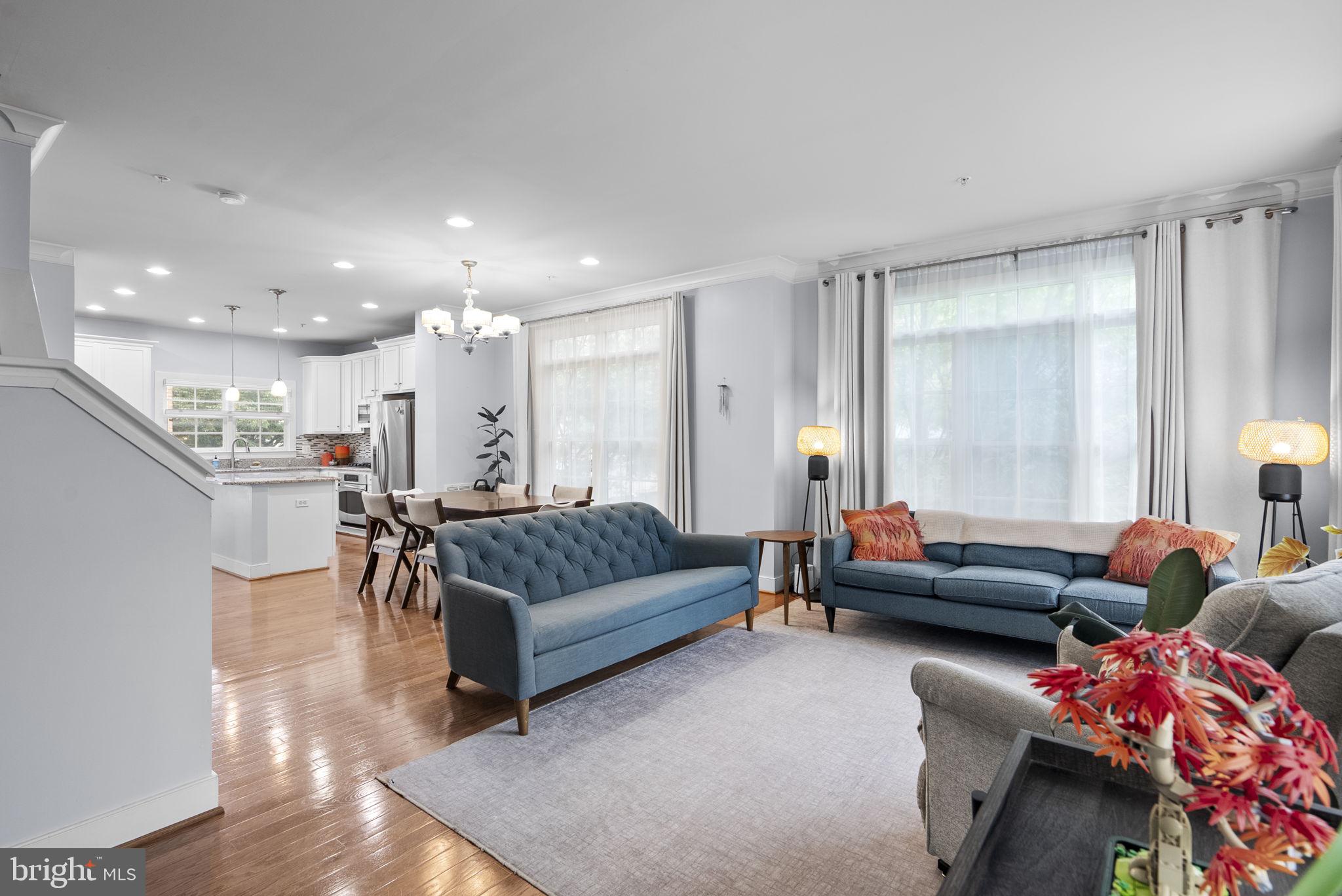 ARTS DISTRICT HYATTSVILLE - Residential