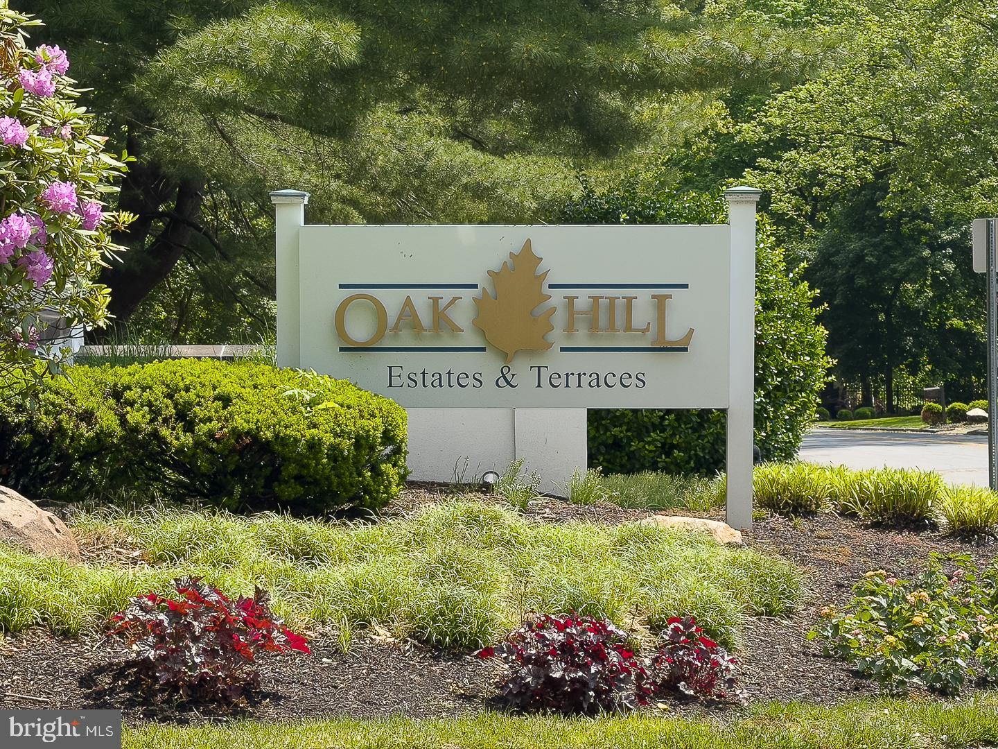 OAK HILL - Residential