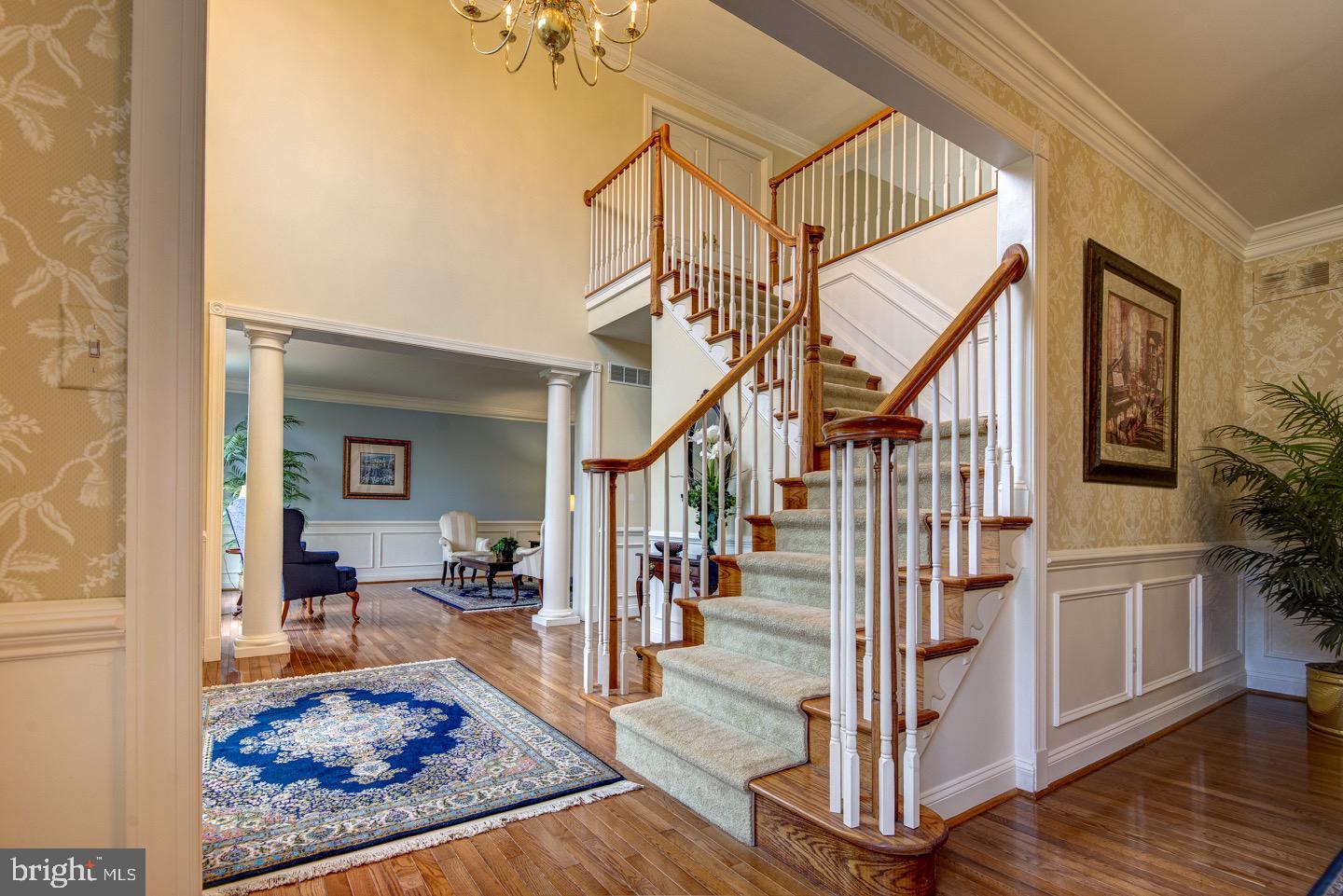 DOLINGTON ESTATES - Residential