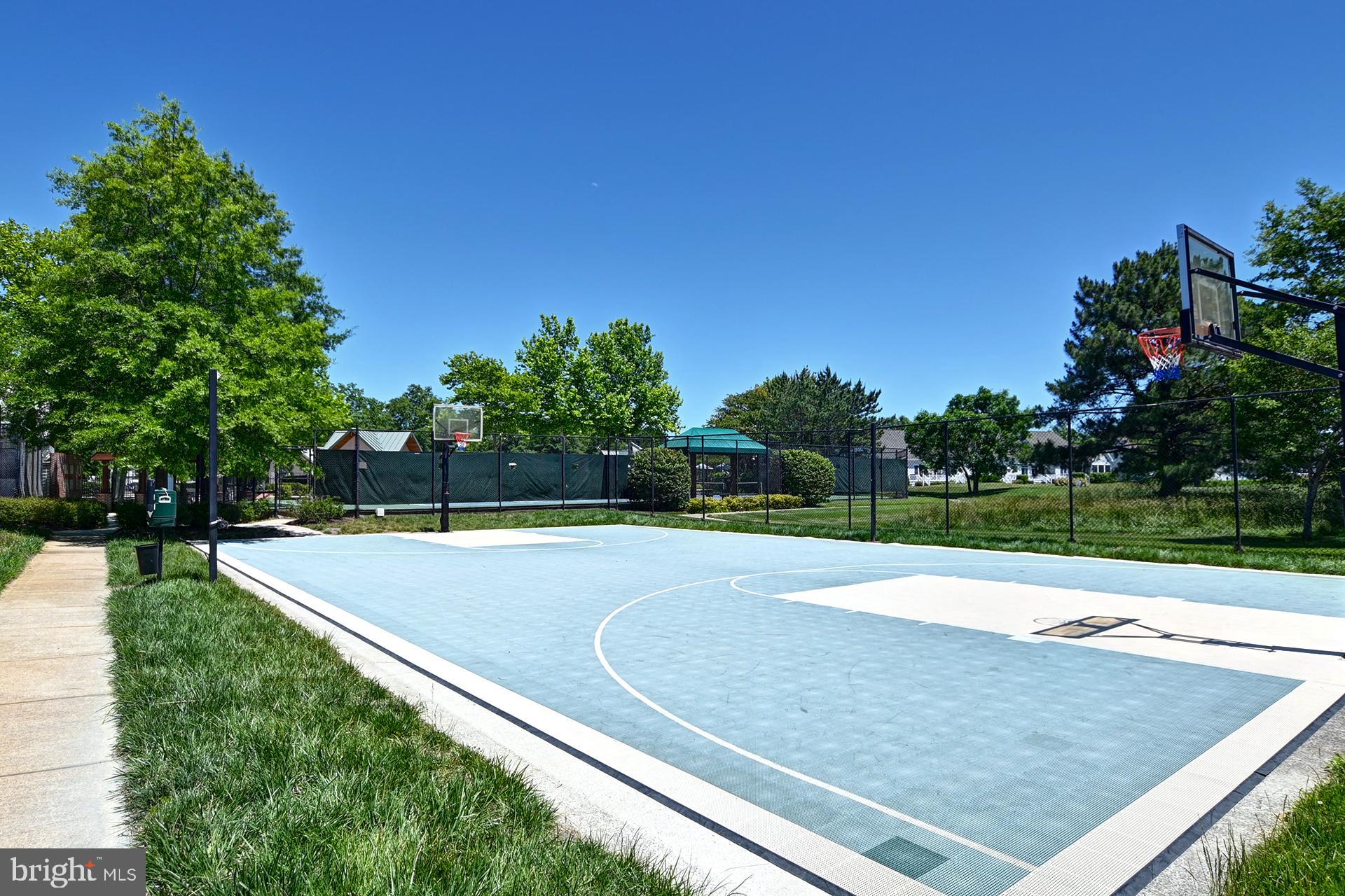 BEAR TRAP - Residential