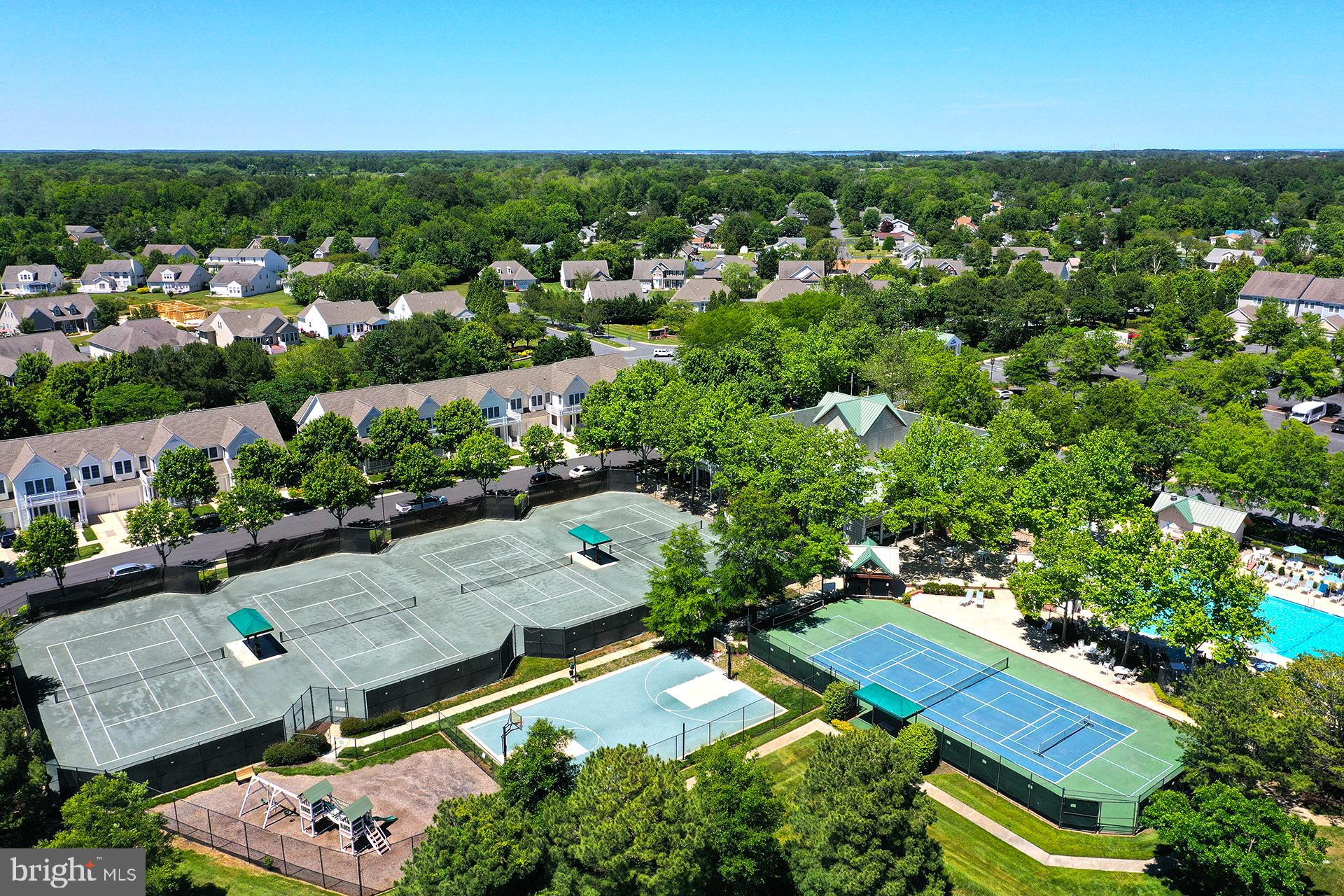 BEAR TRAP - Residential