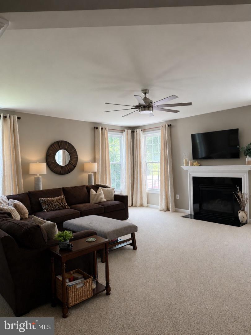 AMBER MEADOWS - Residential