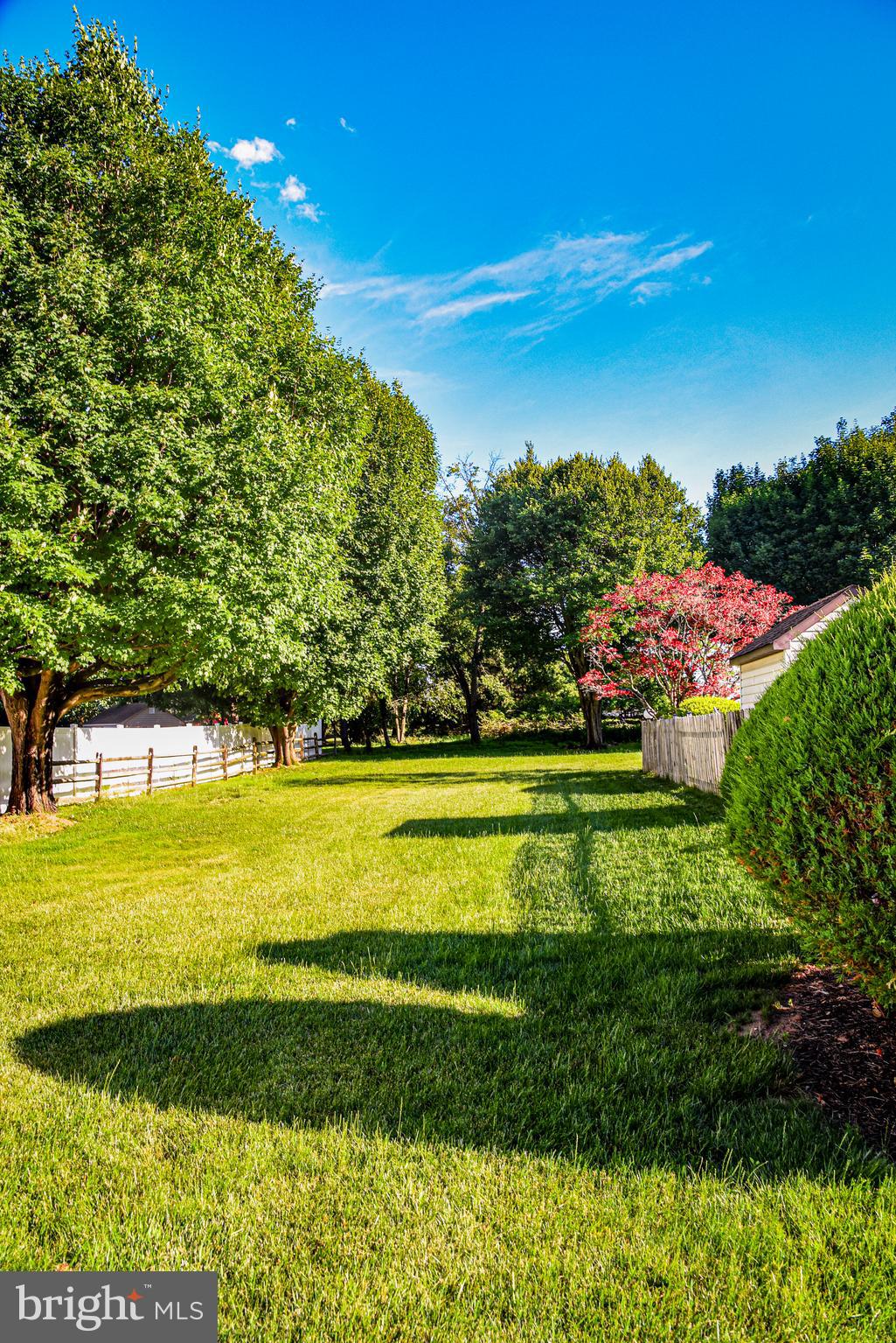 PINE TREE FARMS - Residential