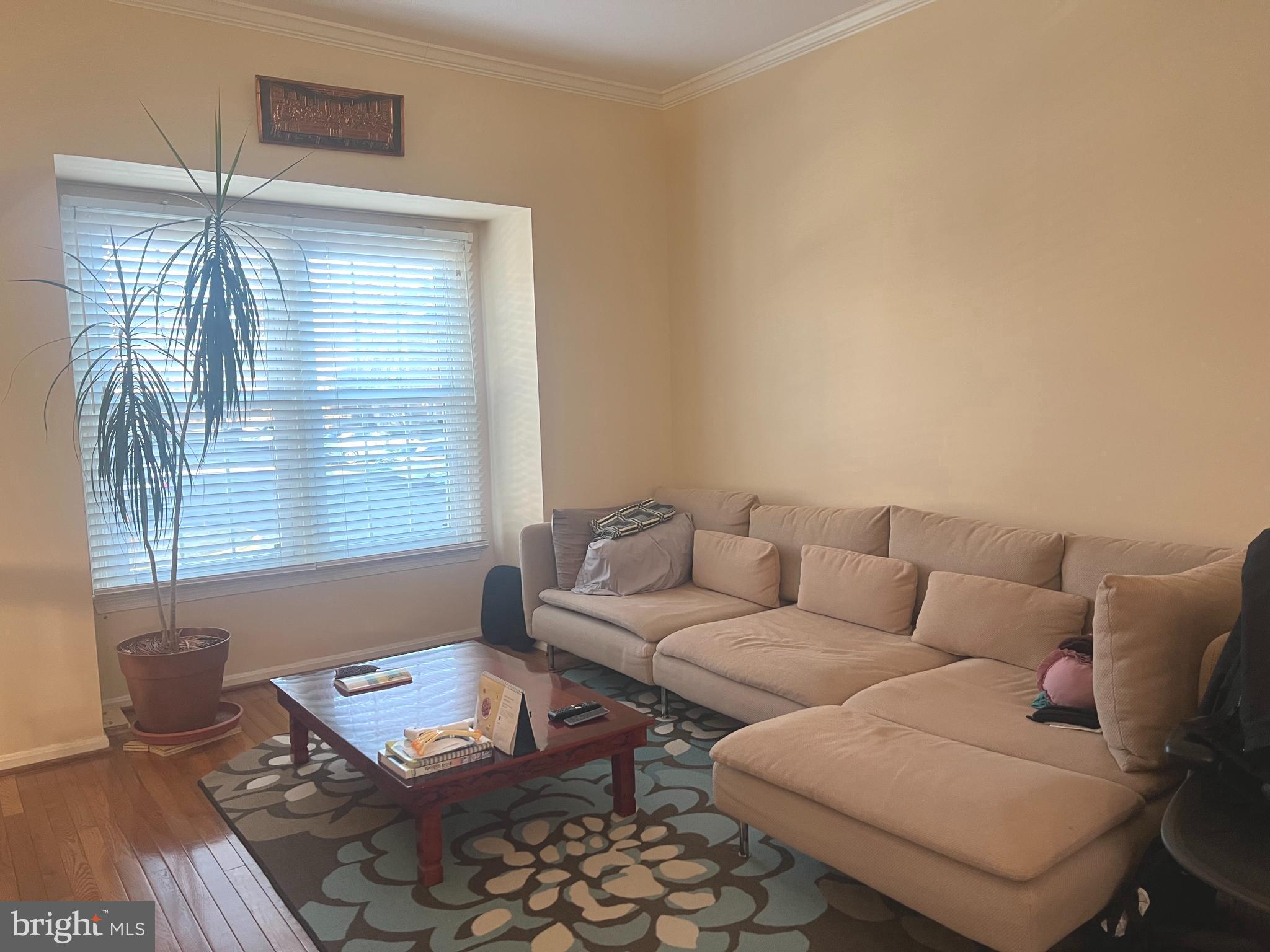 CENTER TERRACE - Residential Lease