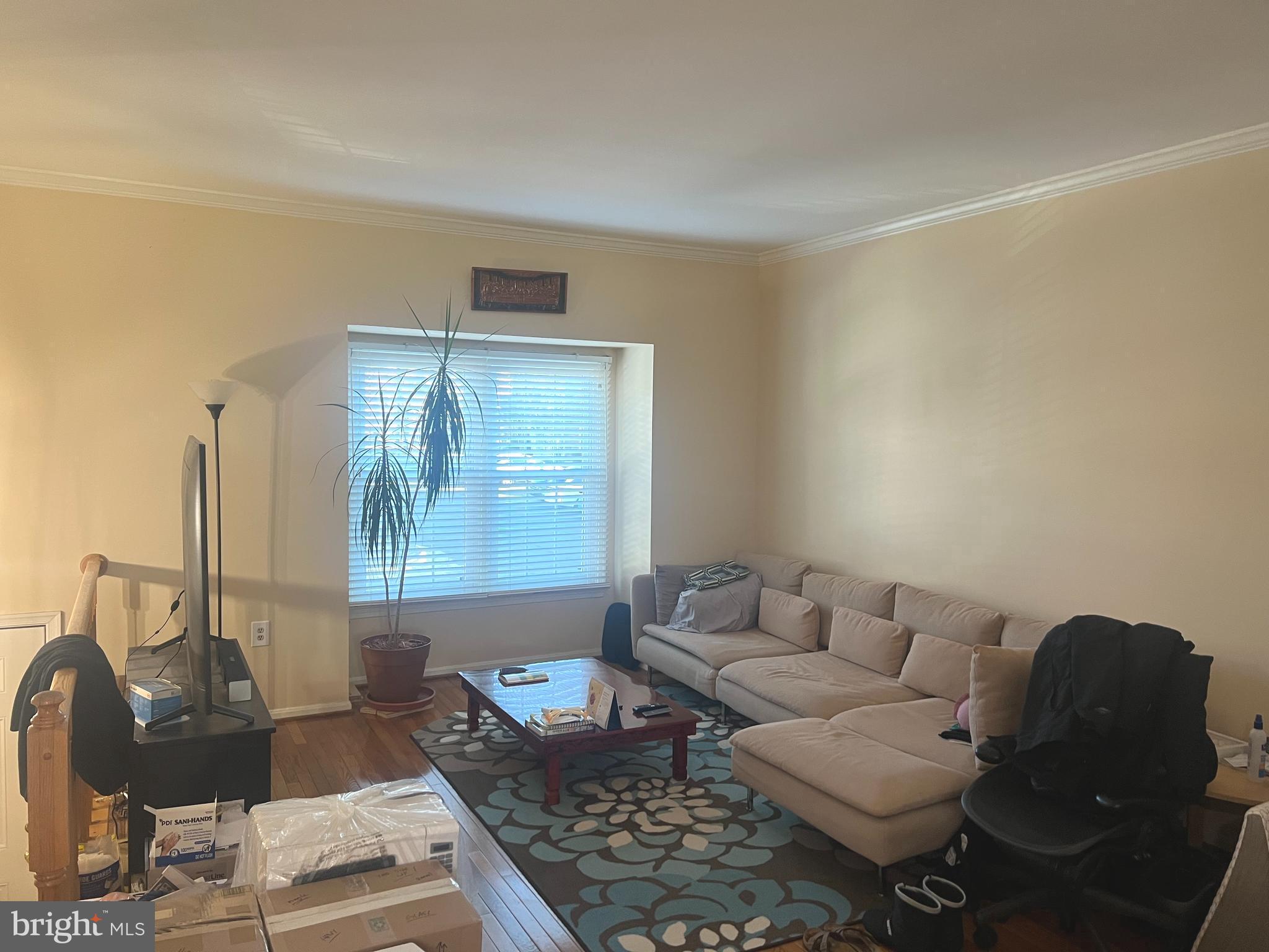 CENTER TERRACE - Residential Lease